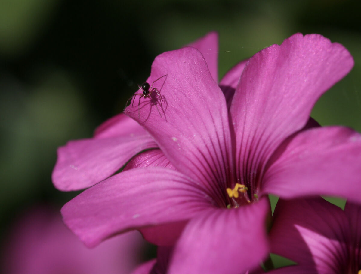 Facing the upper world