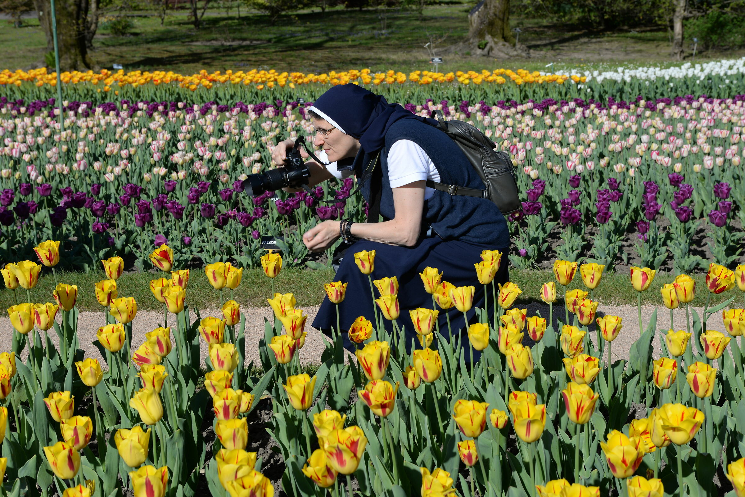 Festa dei tulipani villa Taranto