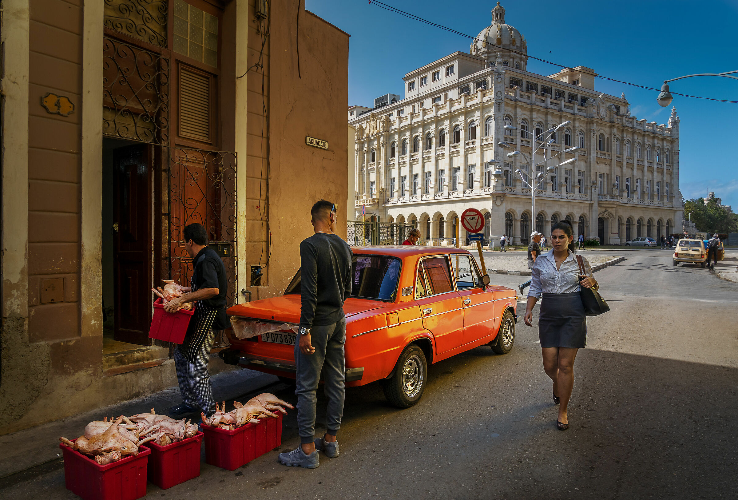 I piaceri della carne