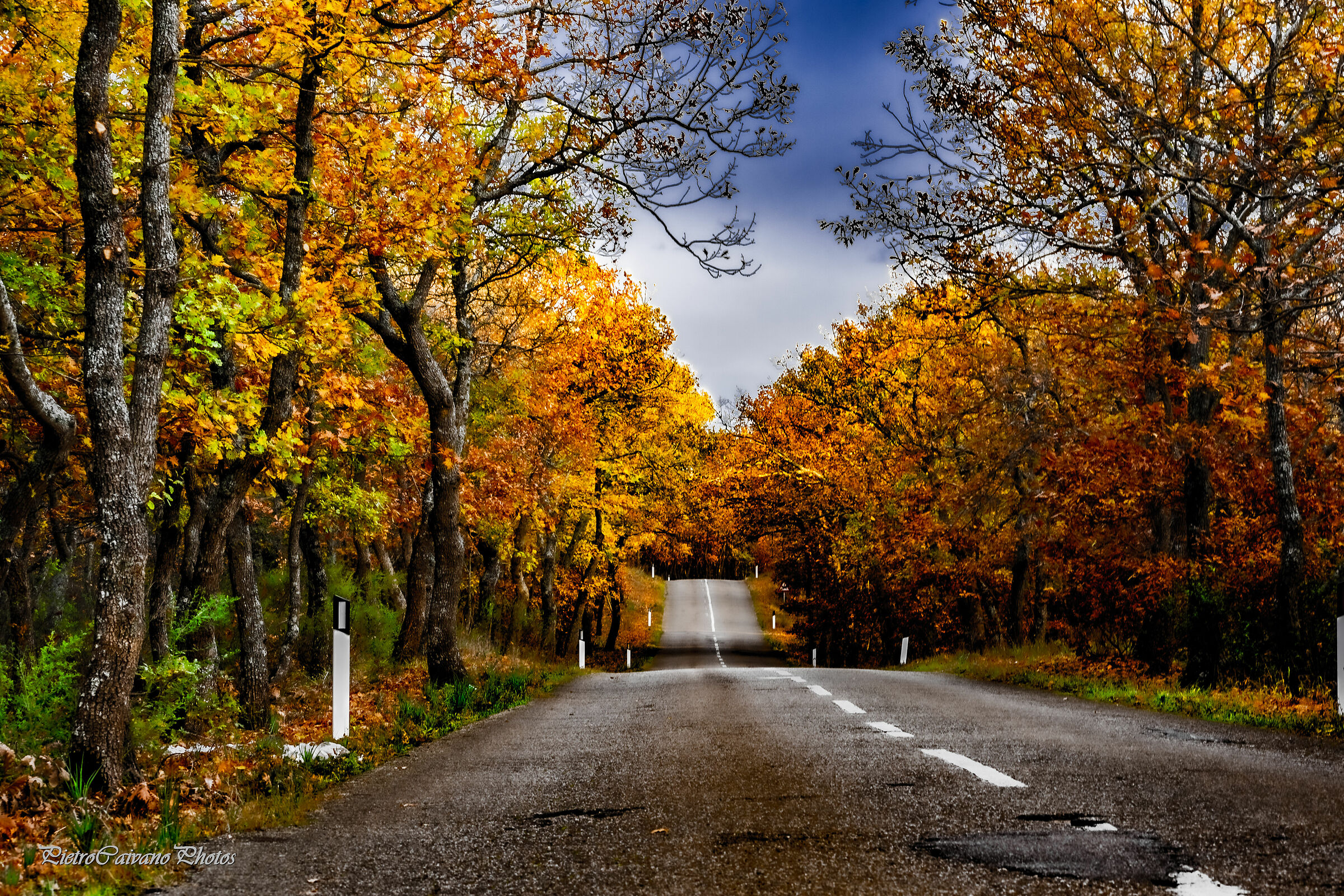 Suggestions of Roads Never Before Traveled