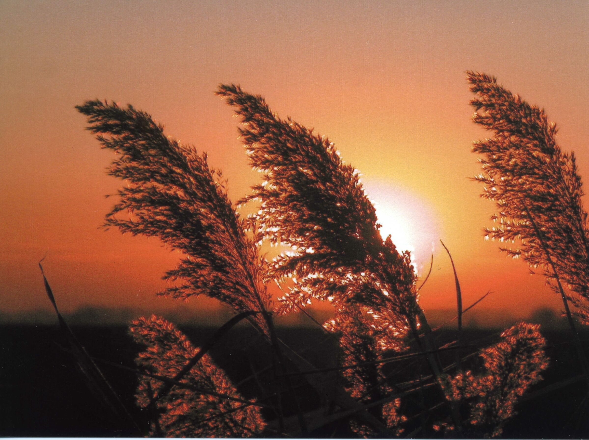 Tramonto sul fiume Adige