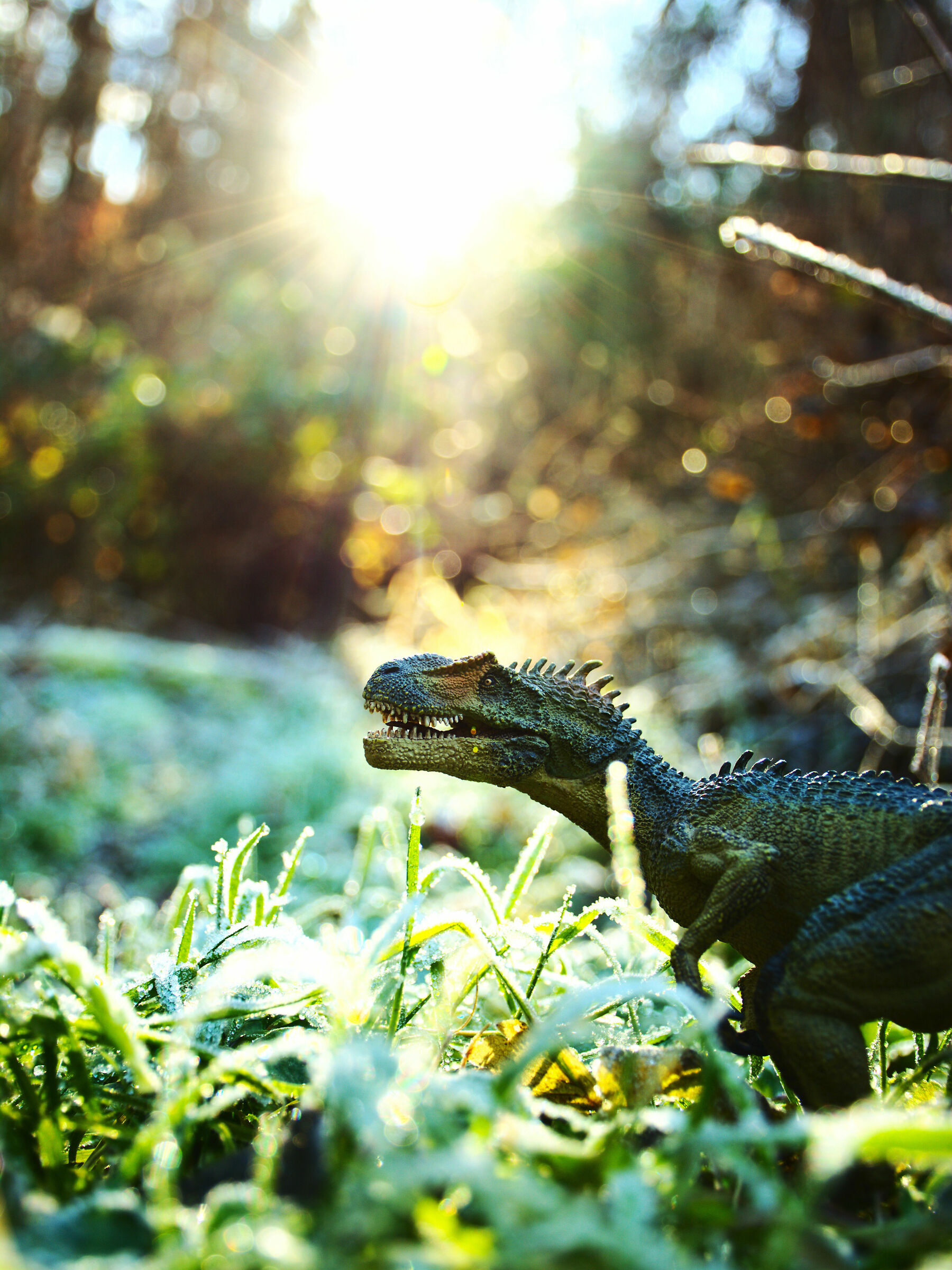 Buongiorno, estinzione!