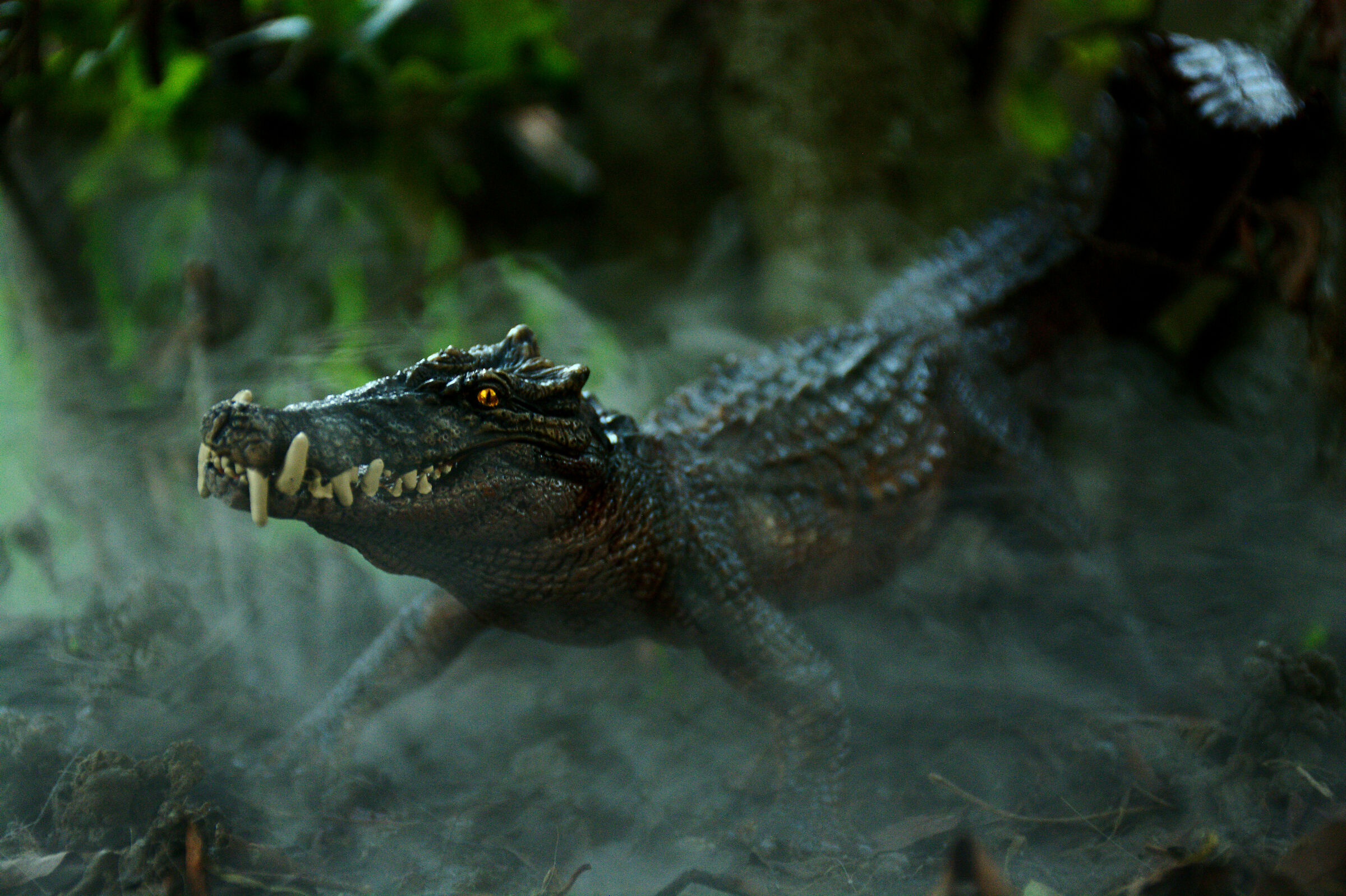 Lurking in the mist...