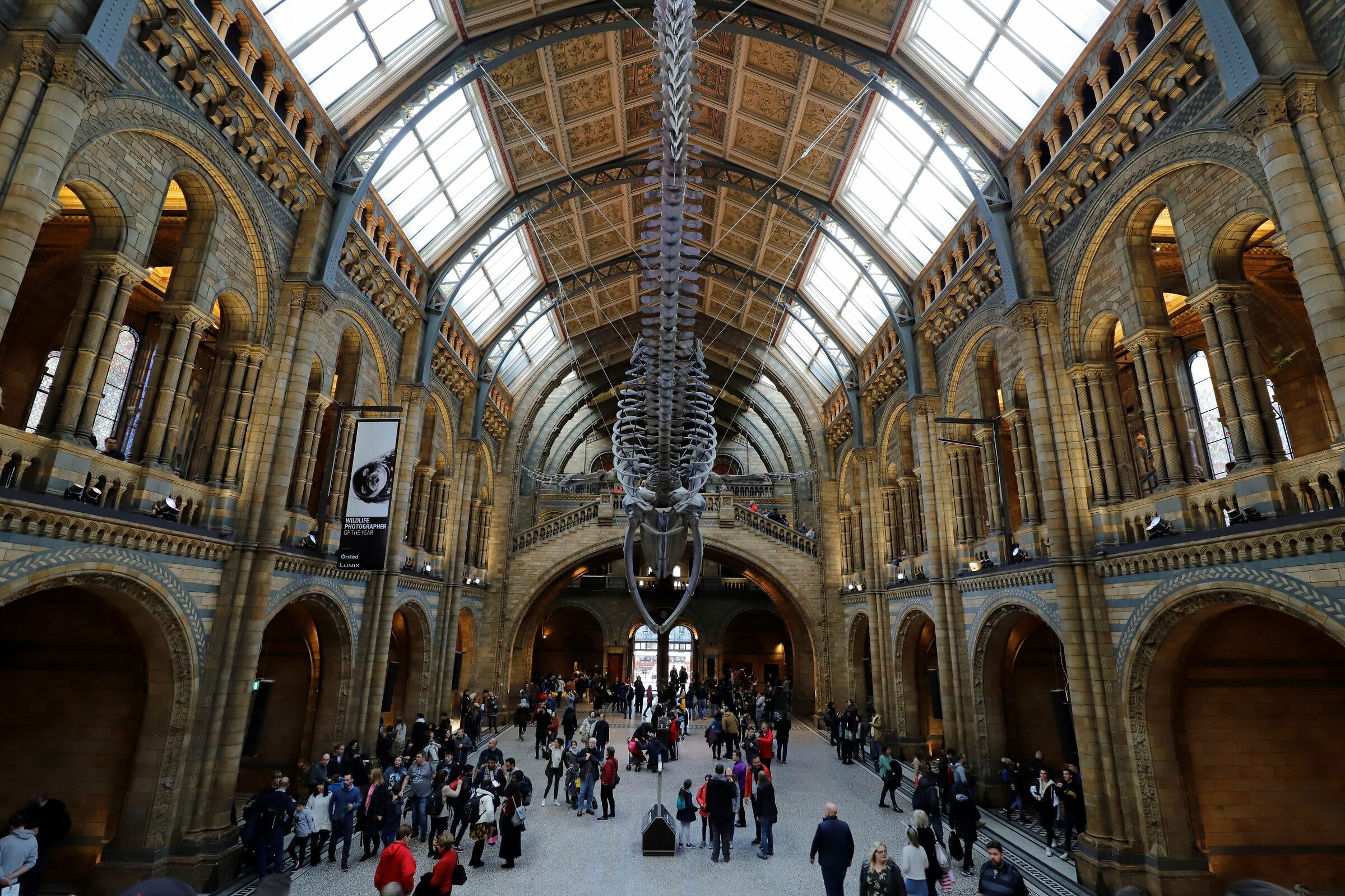 Natural History Museum