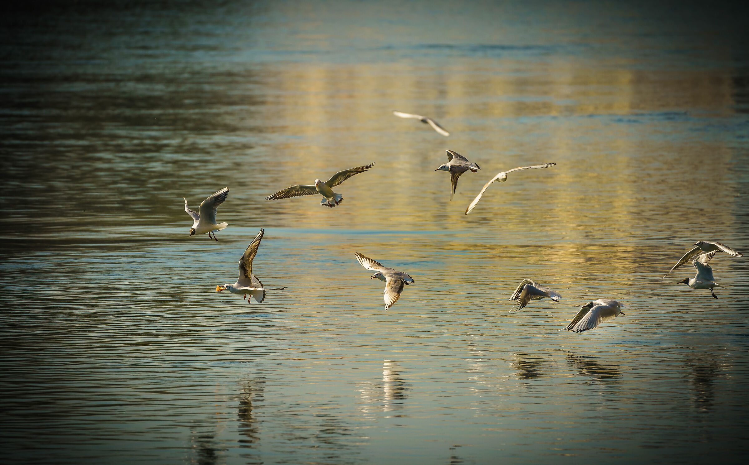 for a loaf of bread......