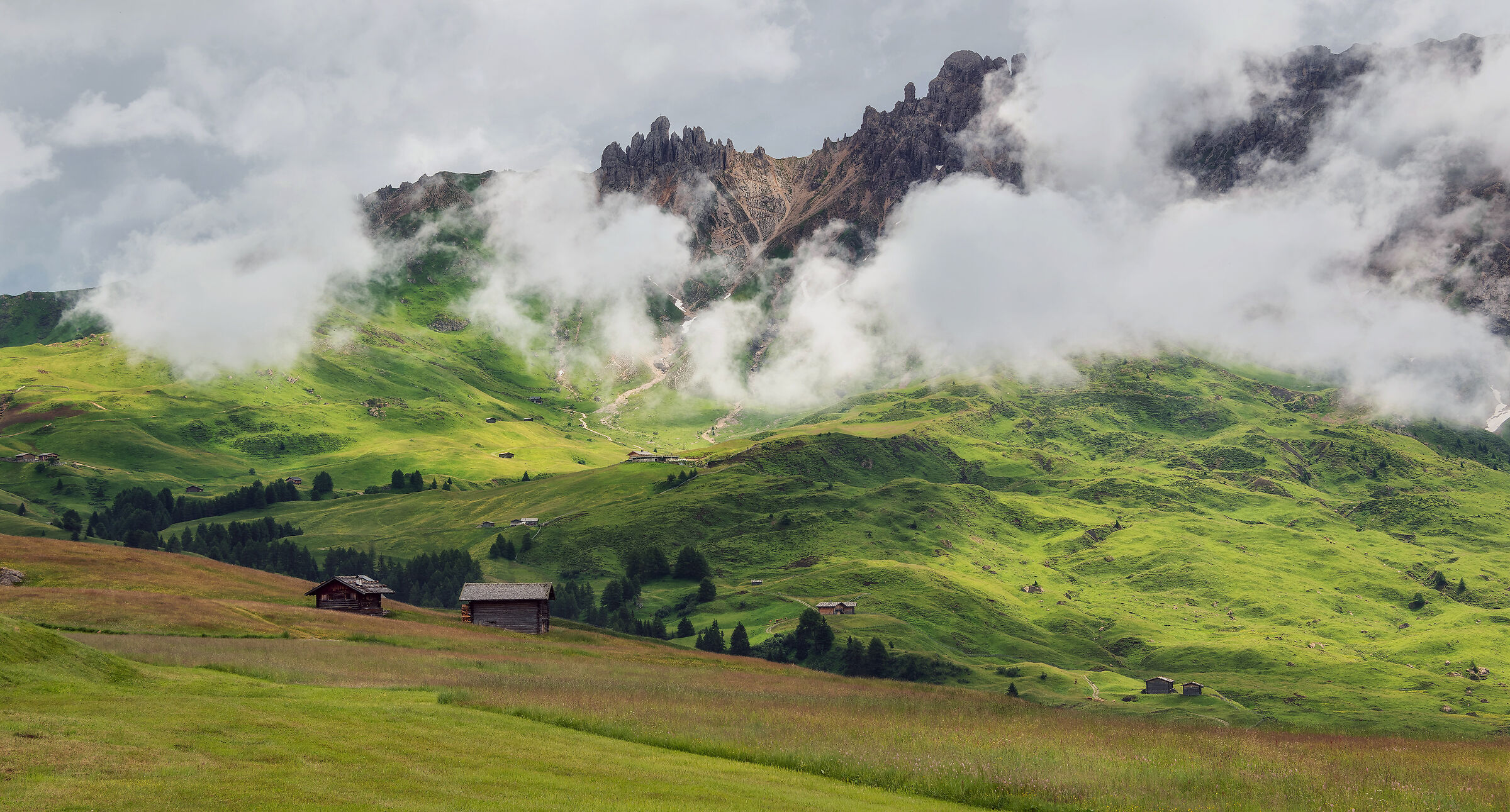Pascoli di montagna
