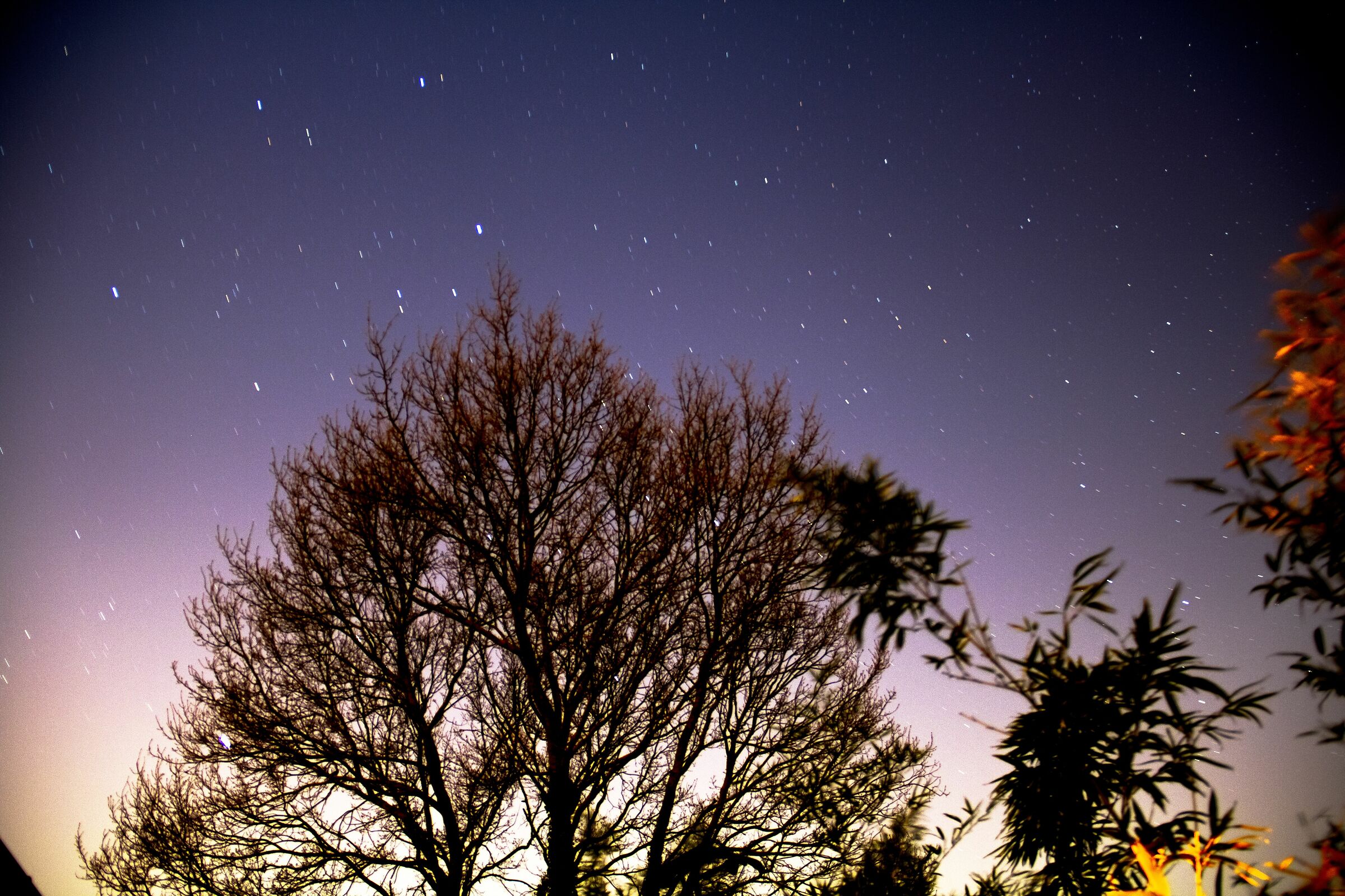 test for startrail