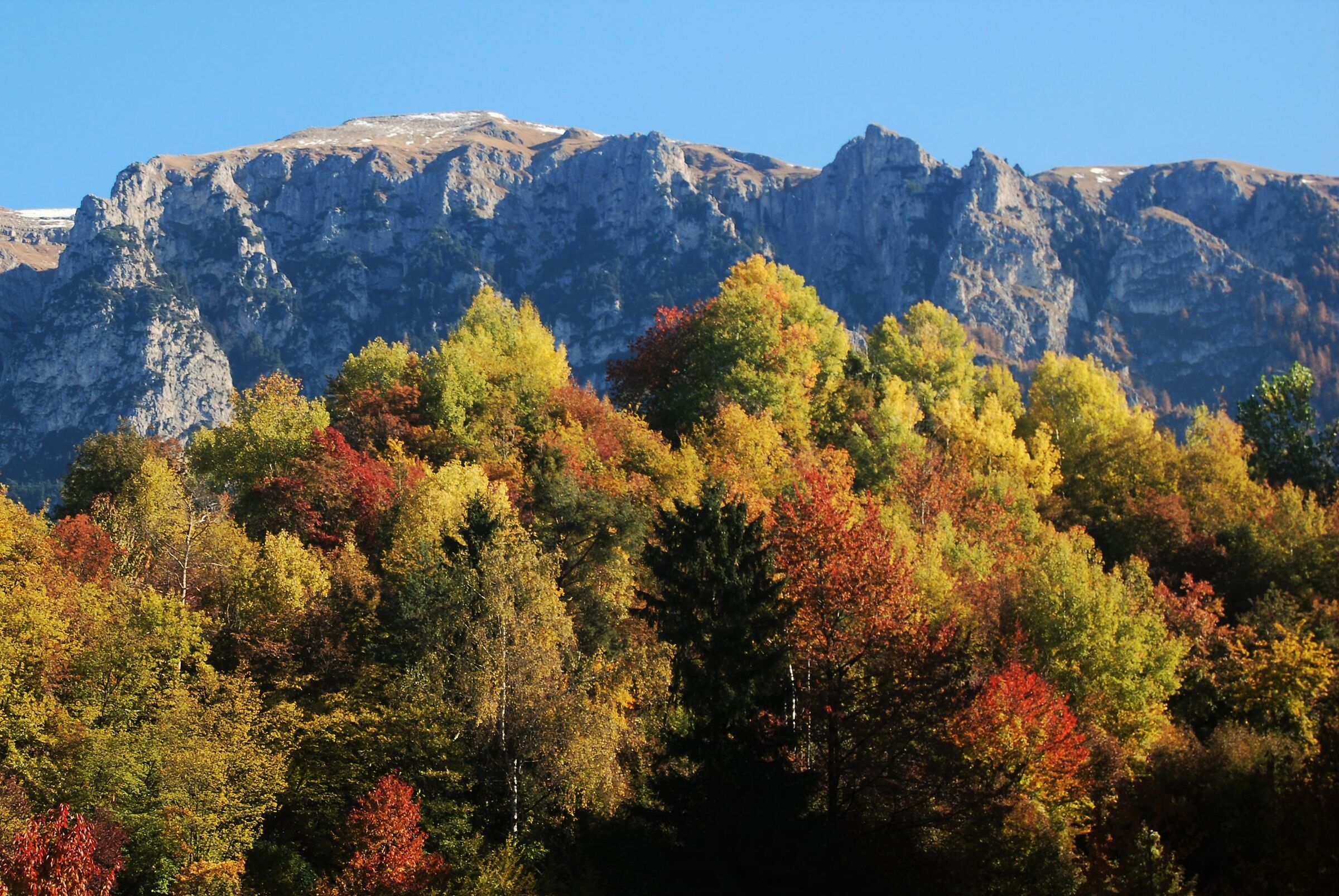 autunno in Val Tires