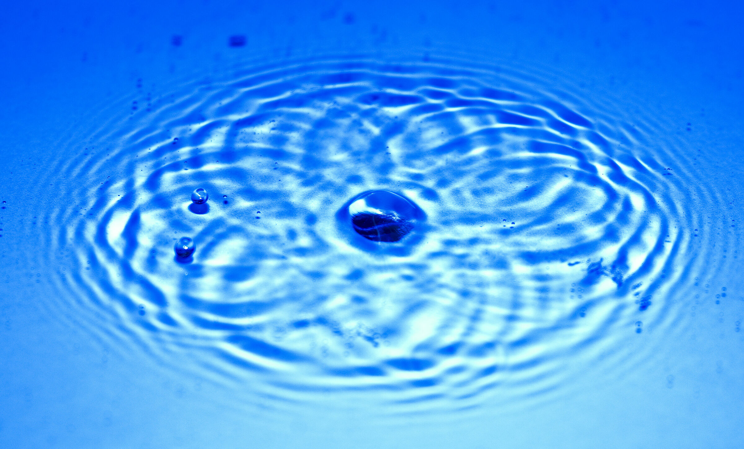 L'acqua conduttrice di vita