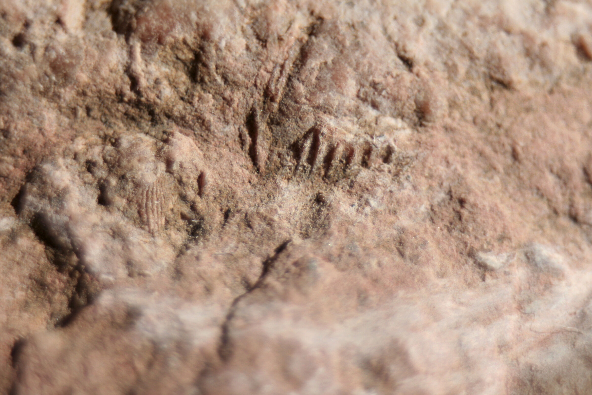 Fossil 2 mm 18-55 with ext 13-21-31 complet. Manual