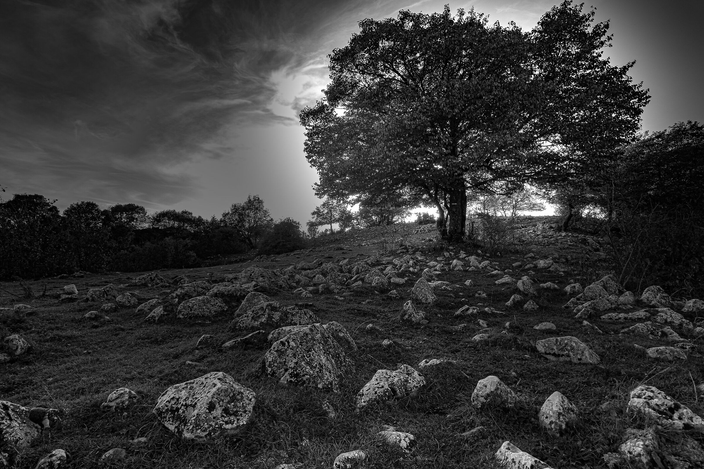 c'è sempre la luce...basta saperla vedere