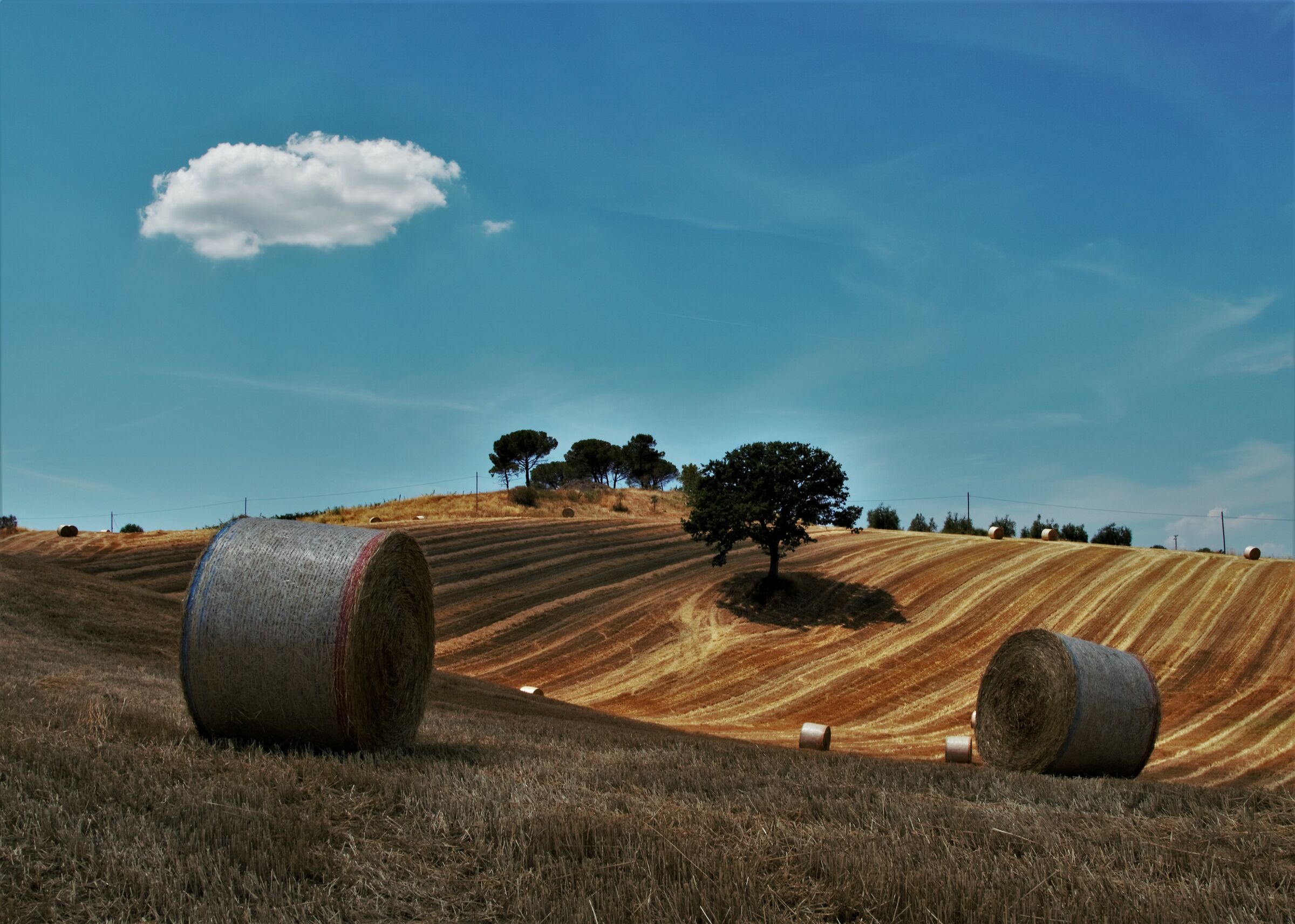 Toscana