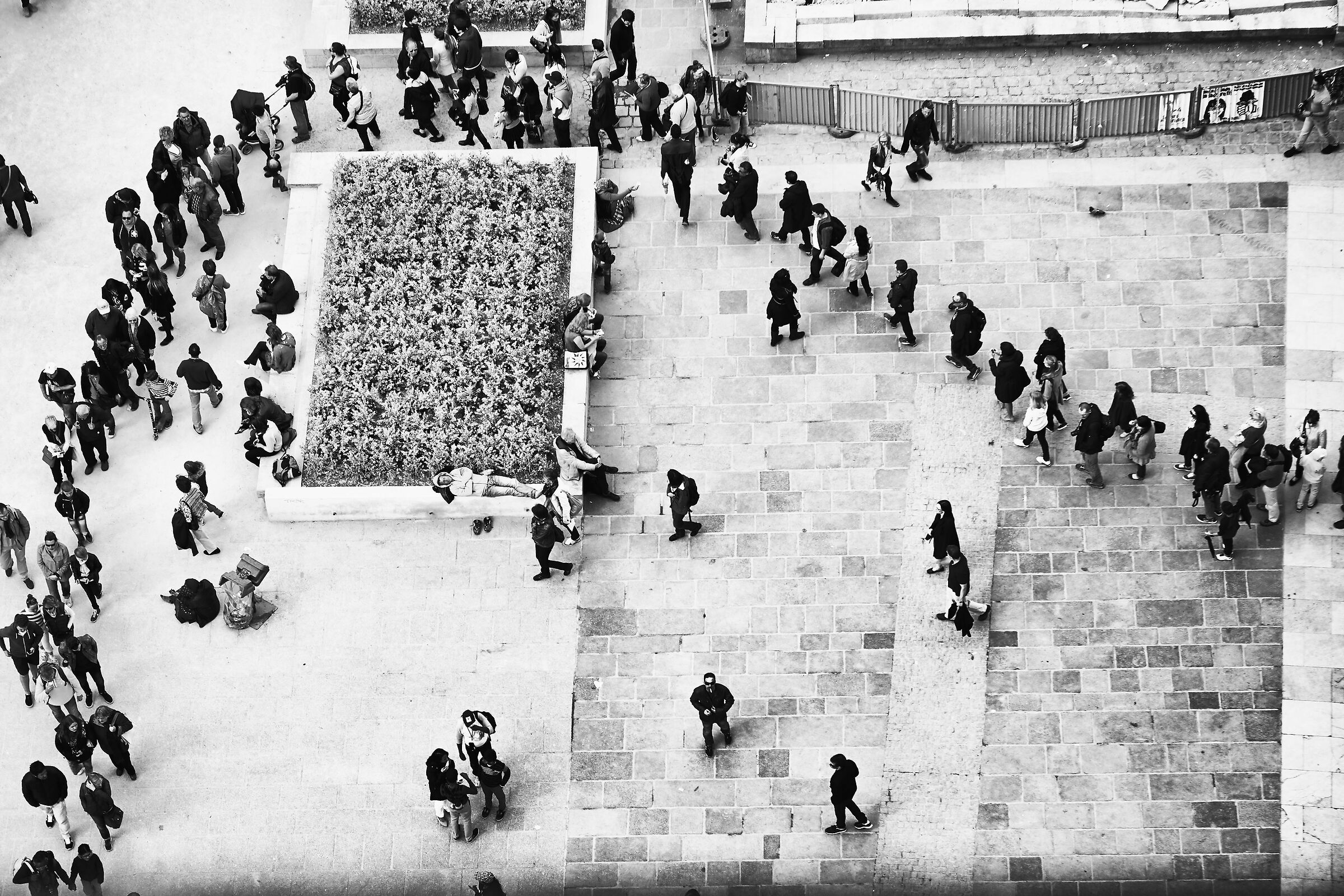 From the roof of Notre Dame