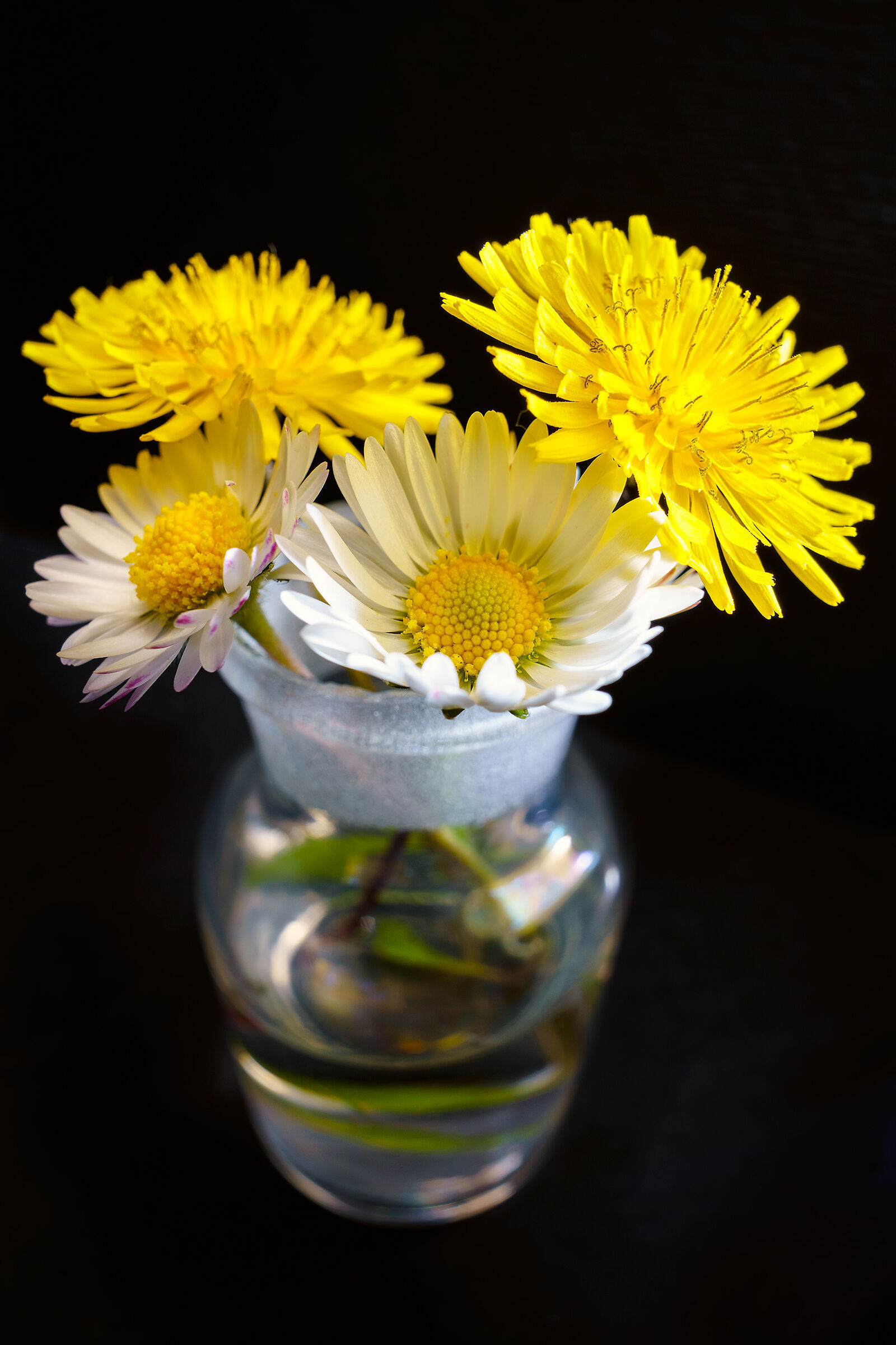 e' dura in quarantena