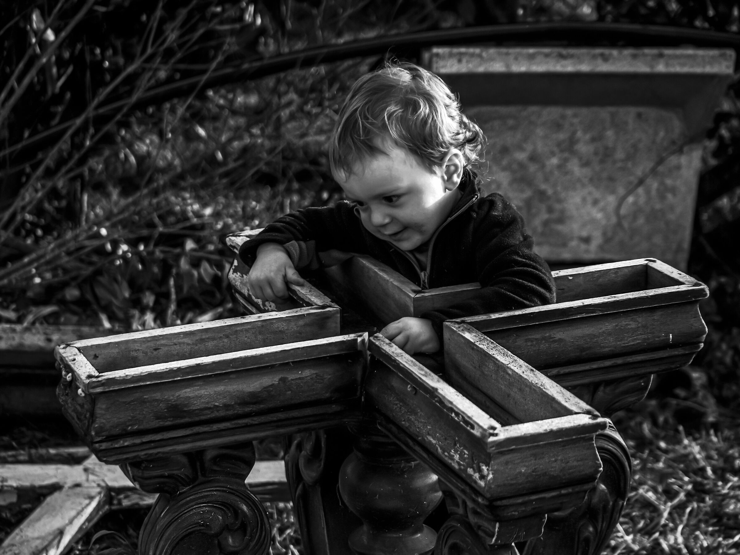 Il piccolo “Falegname”