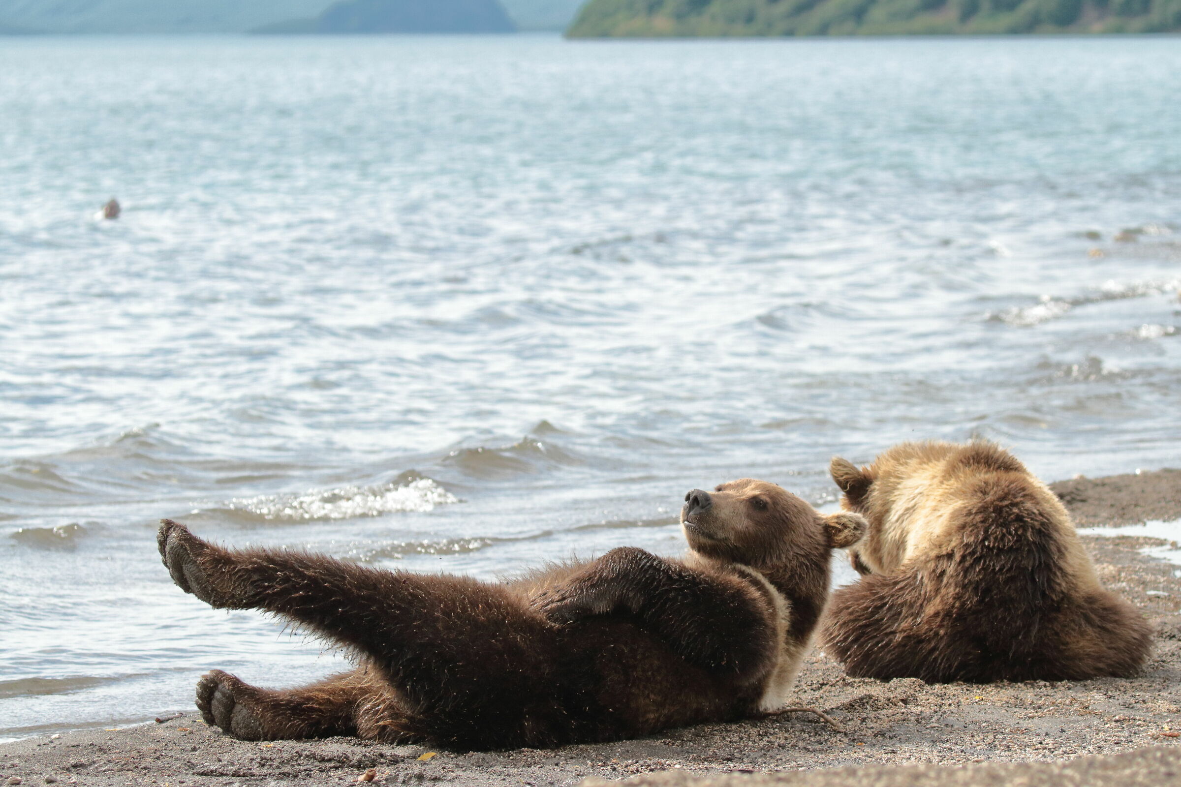 Stretching mattutino