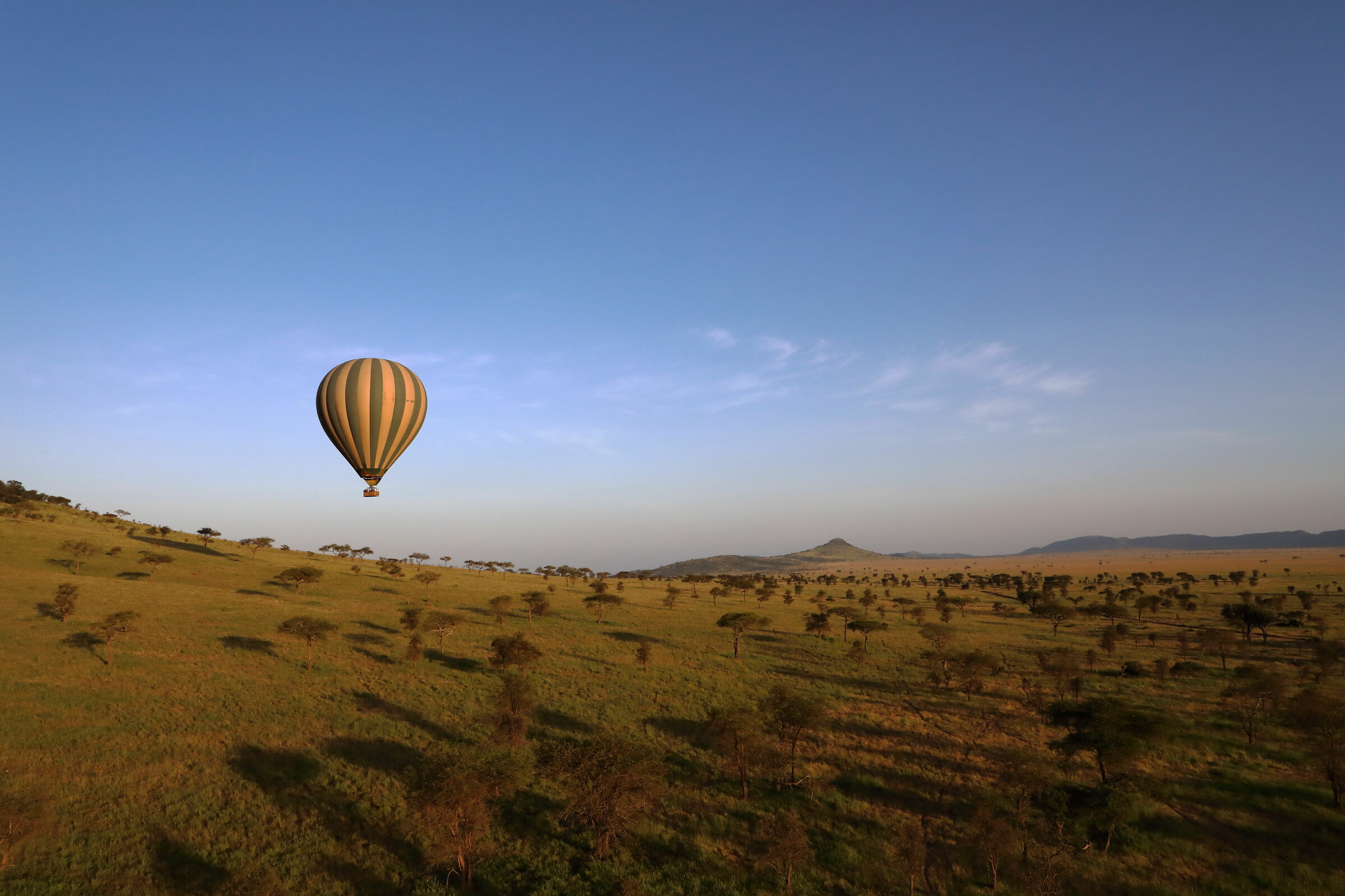 In mongolfiera sul Serengeti
