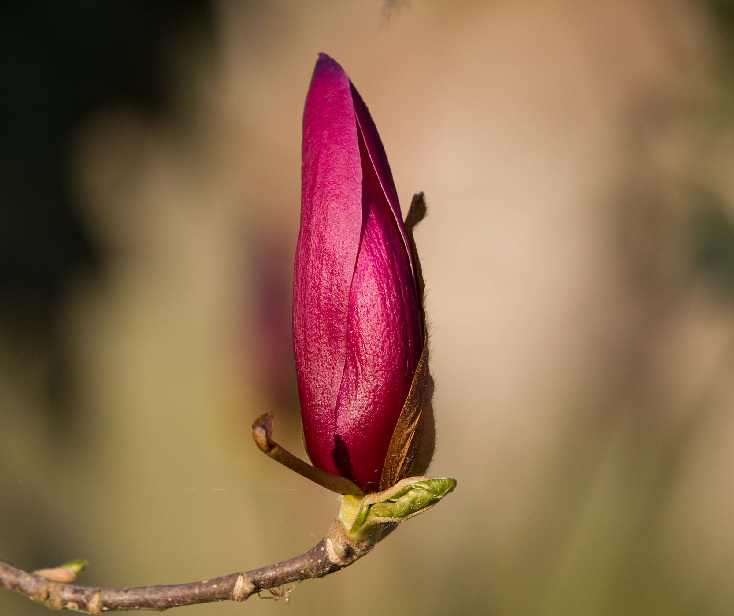Potrebbe essere la luce in fondo al tunnel