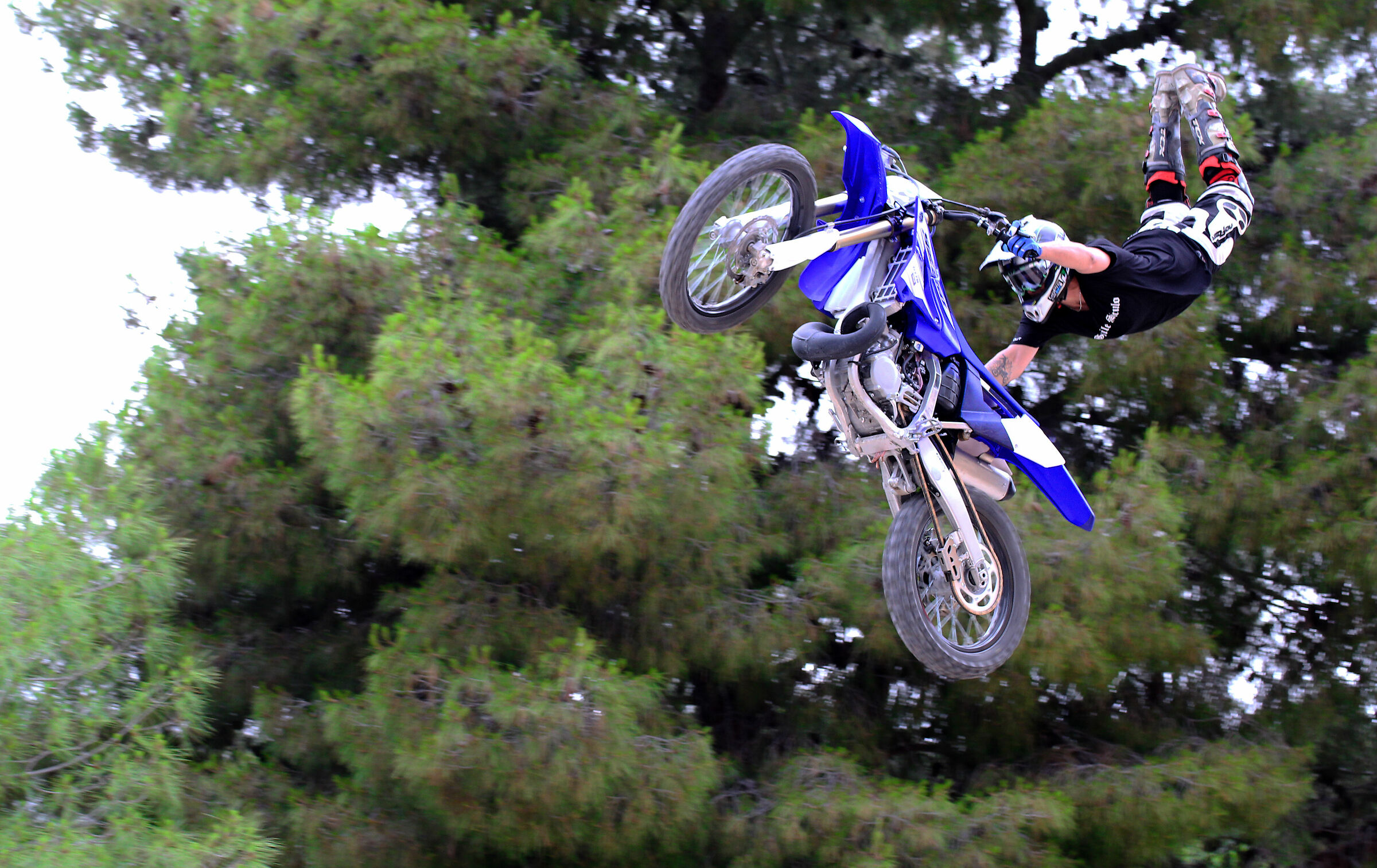 in volo quasi perpendicolare