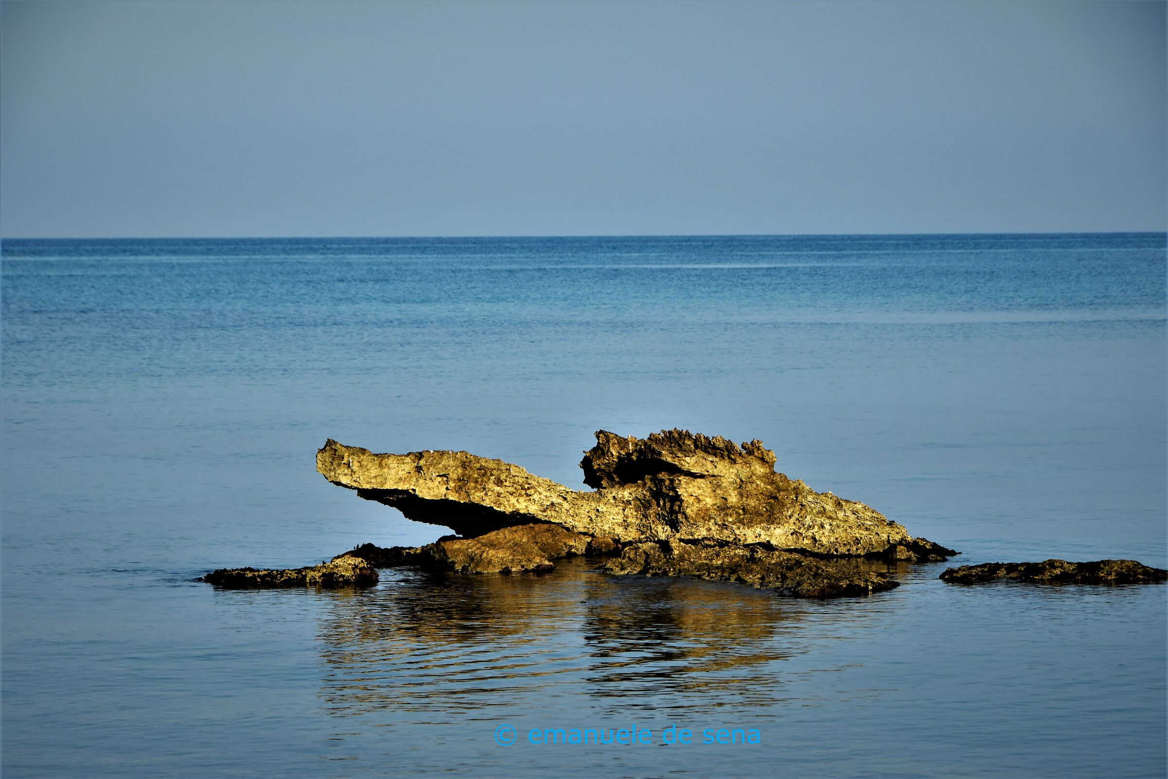 coccodrillo all'alba