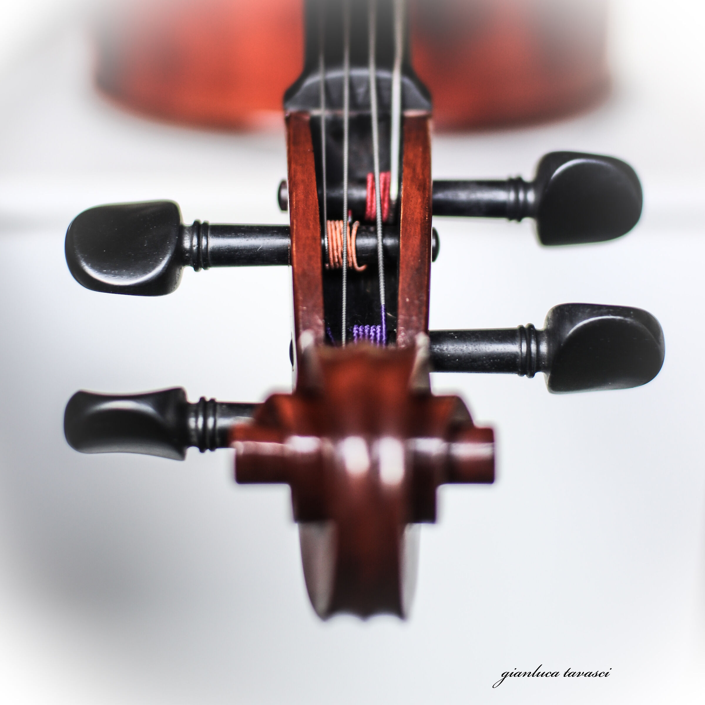 Violoncello