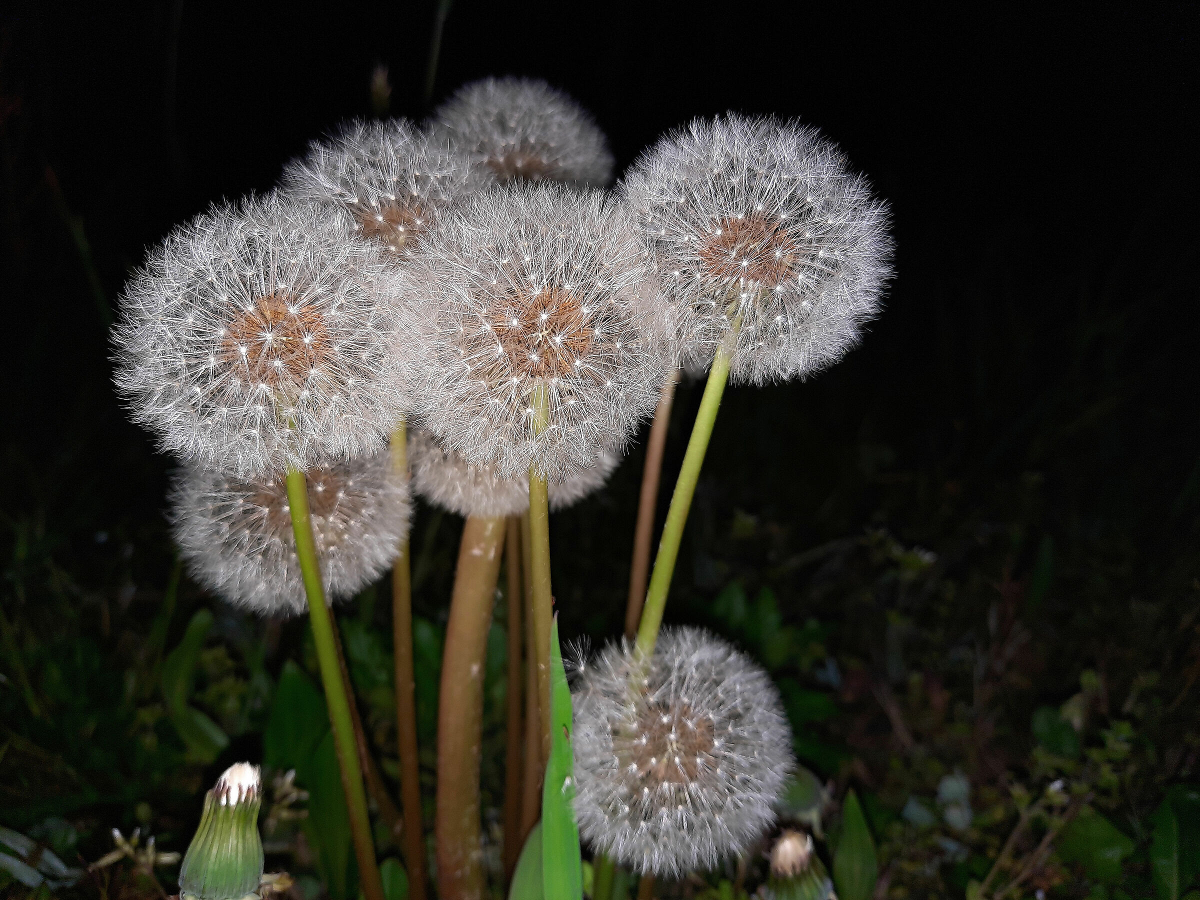 Together we're going to make it!