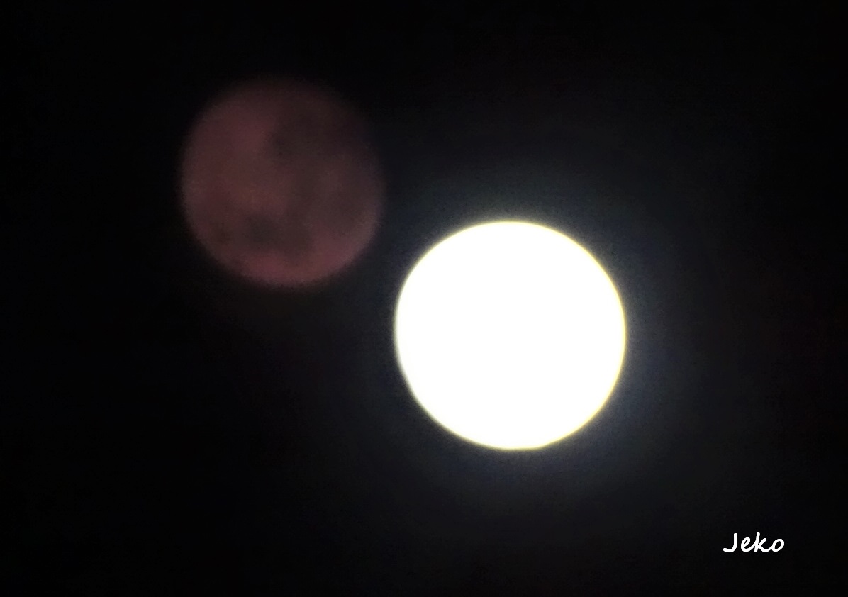 The moon and... his reflection