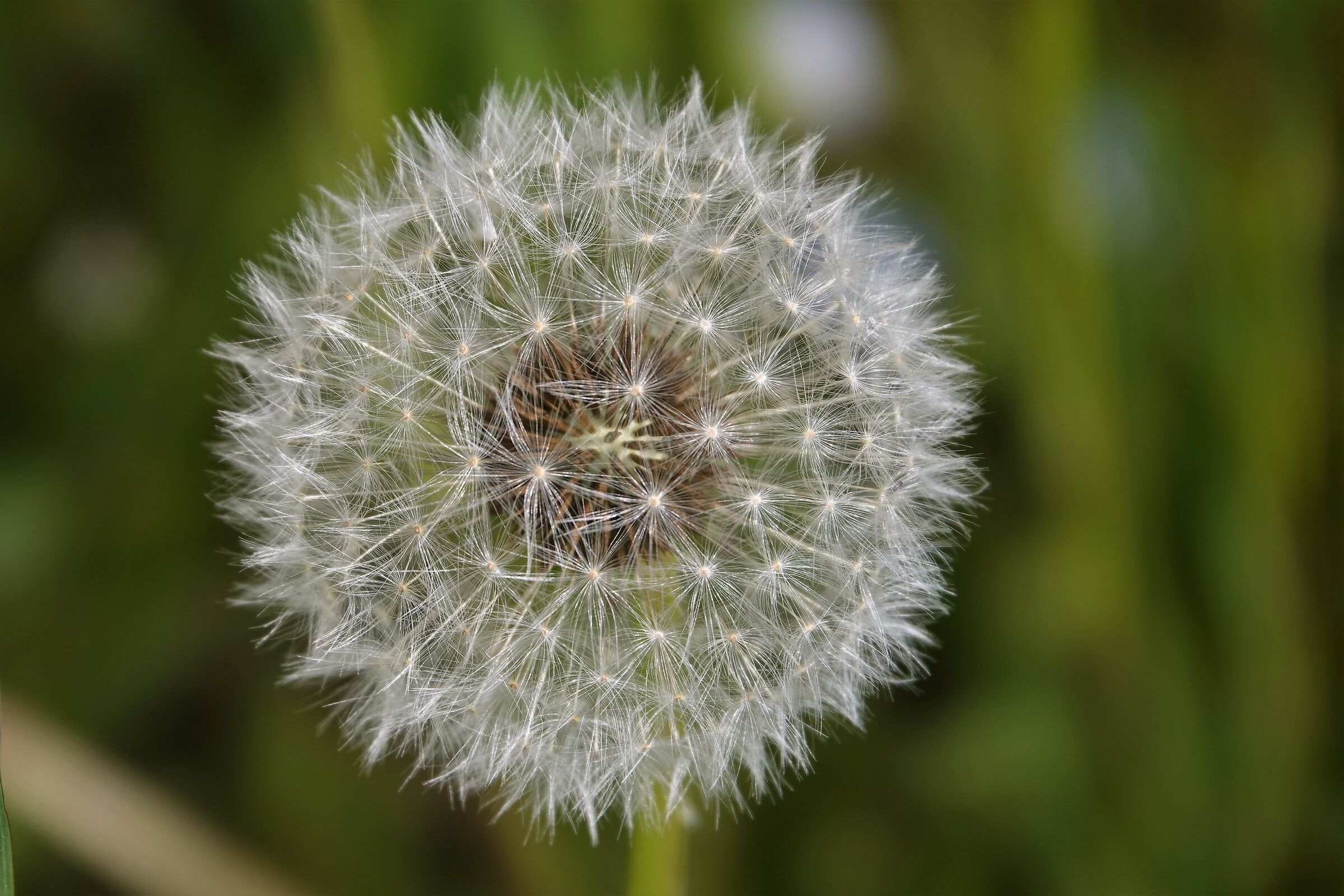nature is perfect