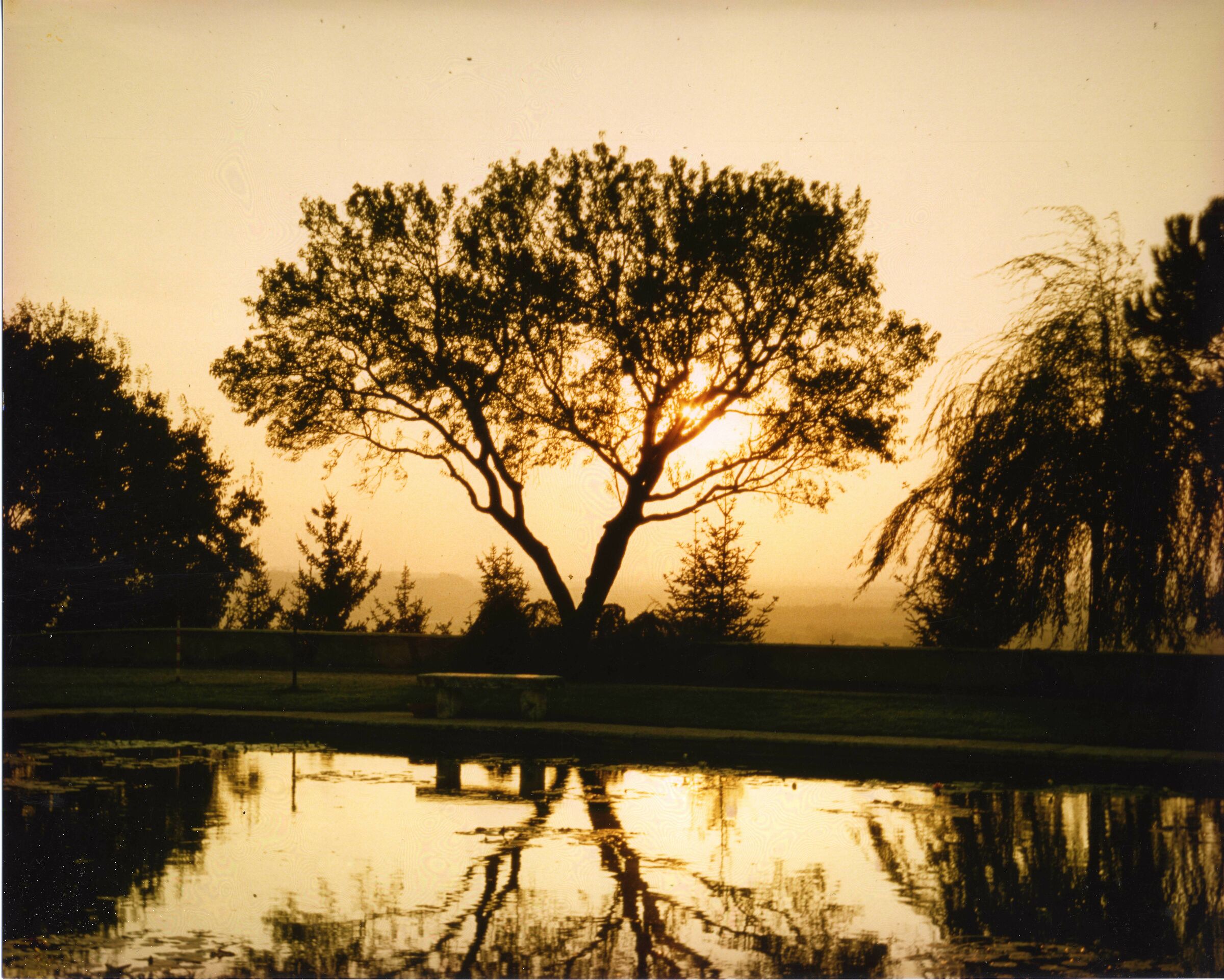 Parco Sigurtà, Valeggio s/Mincio (Vr)