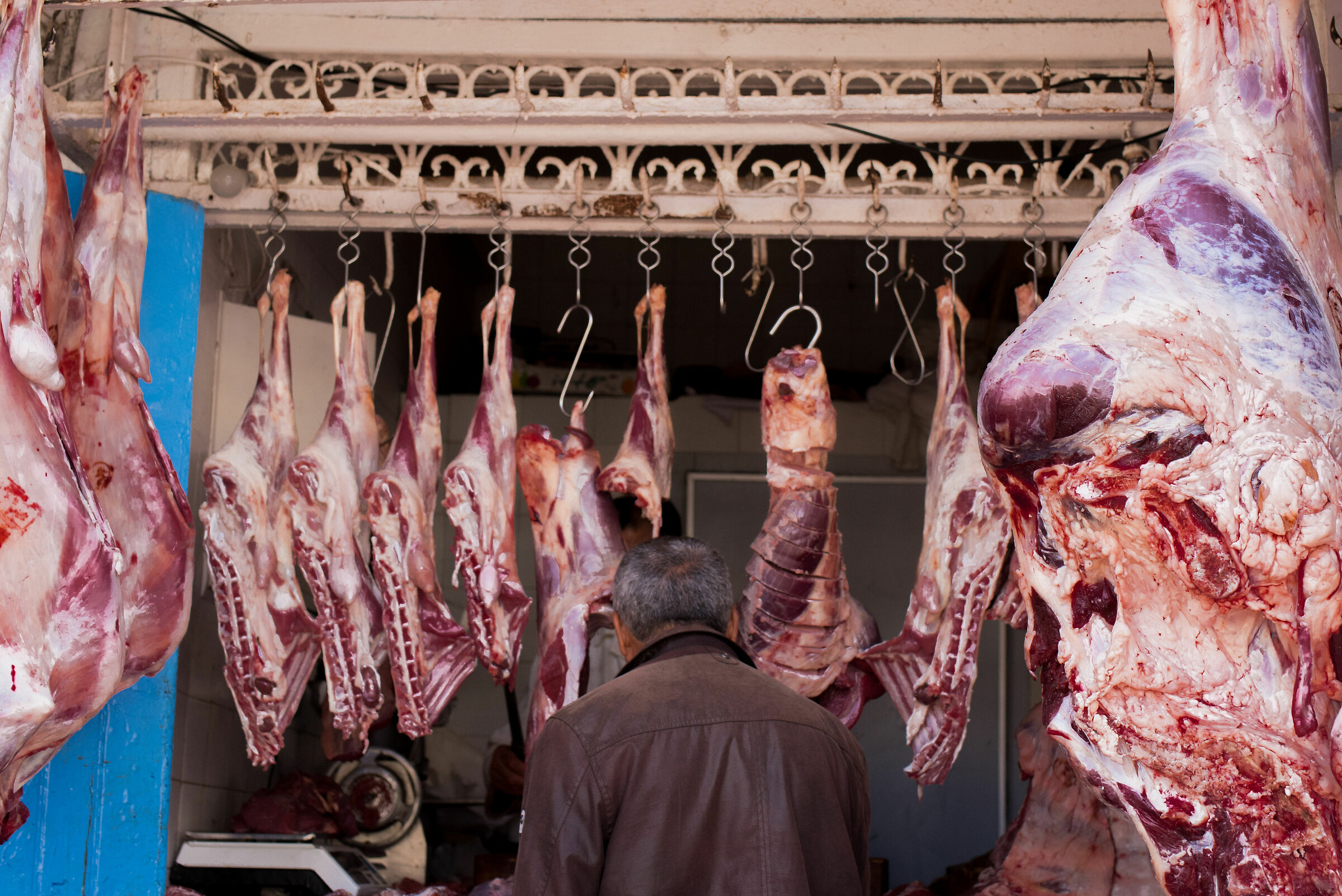 Appesi nell'indifferenza umana