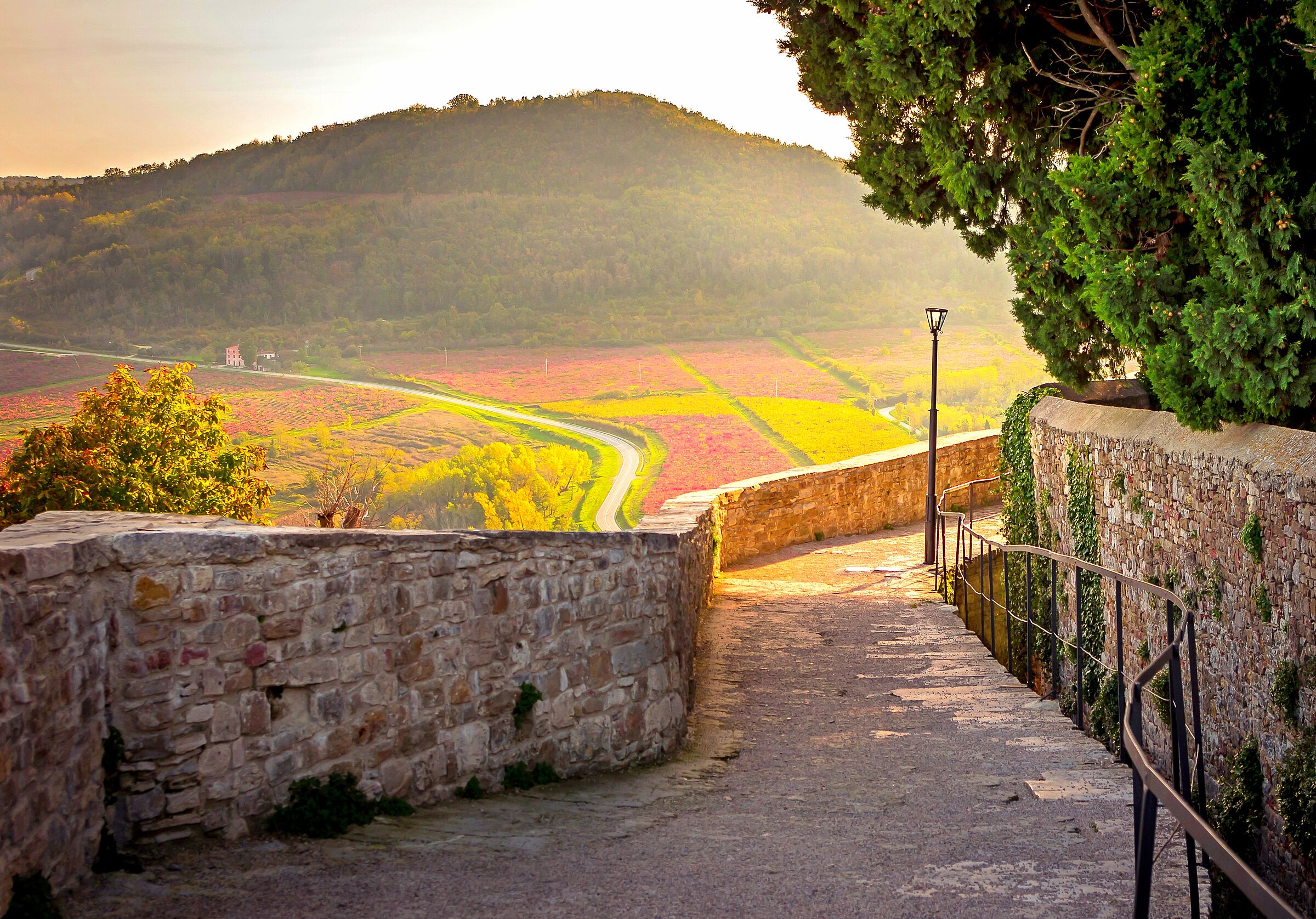Walk in Motovun, Croatia