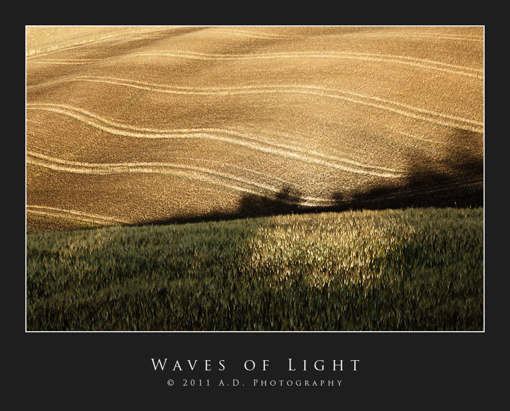 Waves of Light