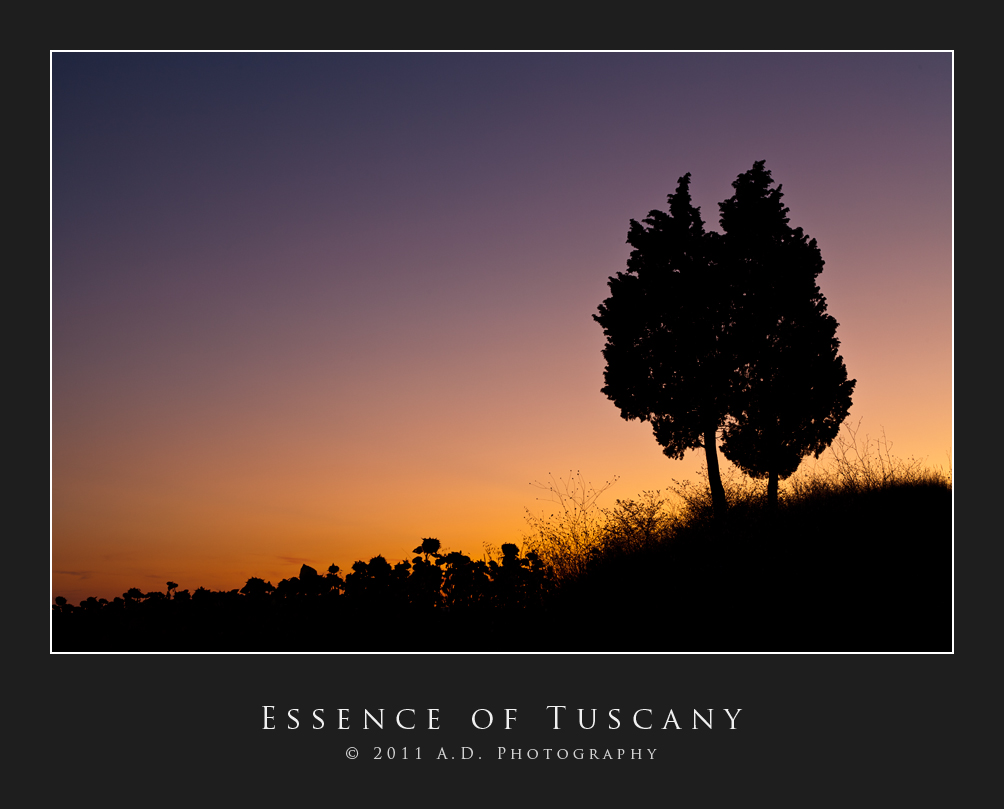 Essence of Tuscany