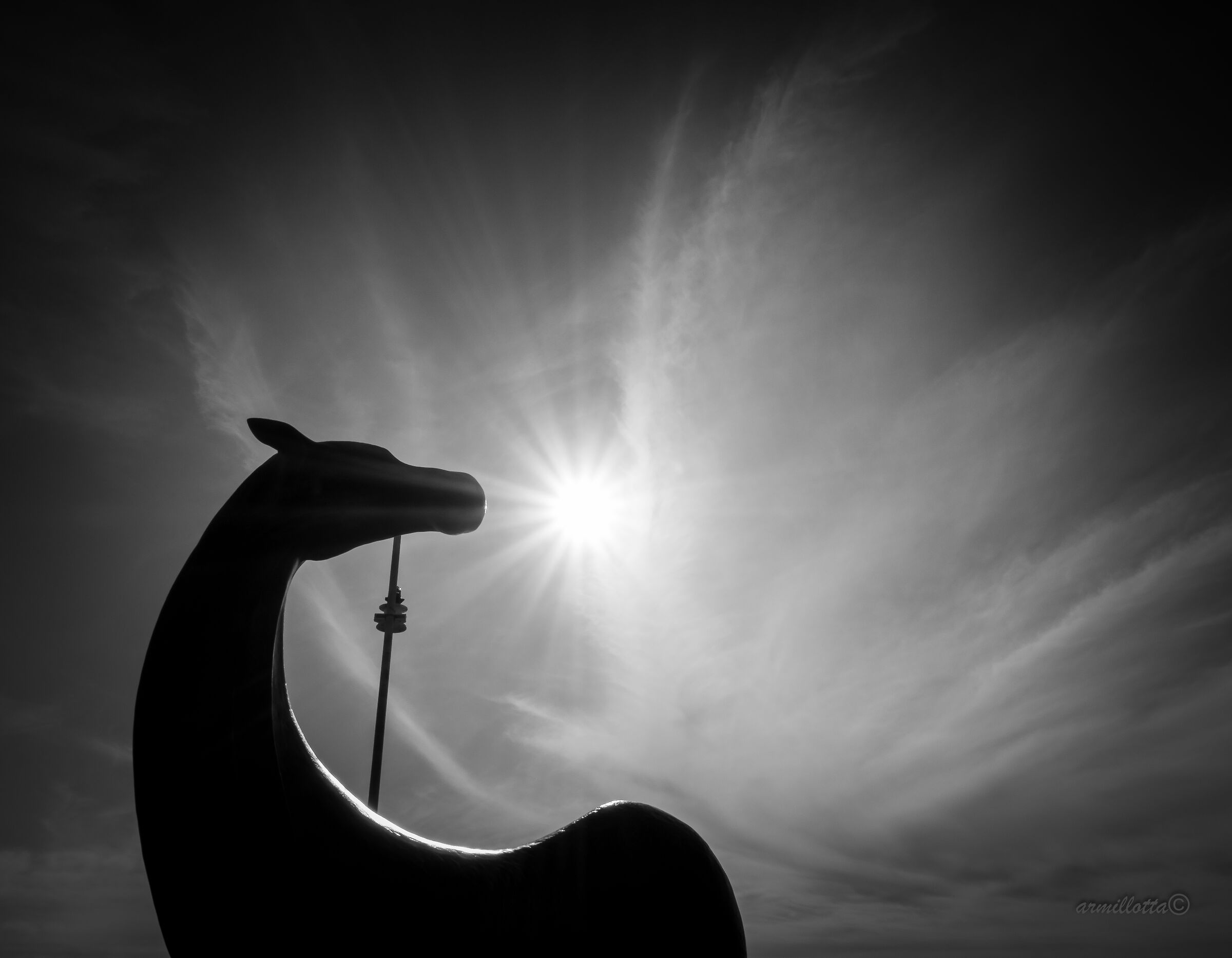 You're flying again, Pegasus.