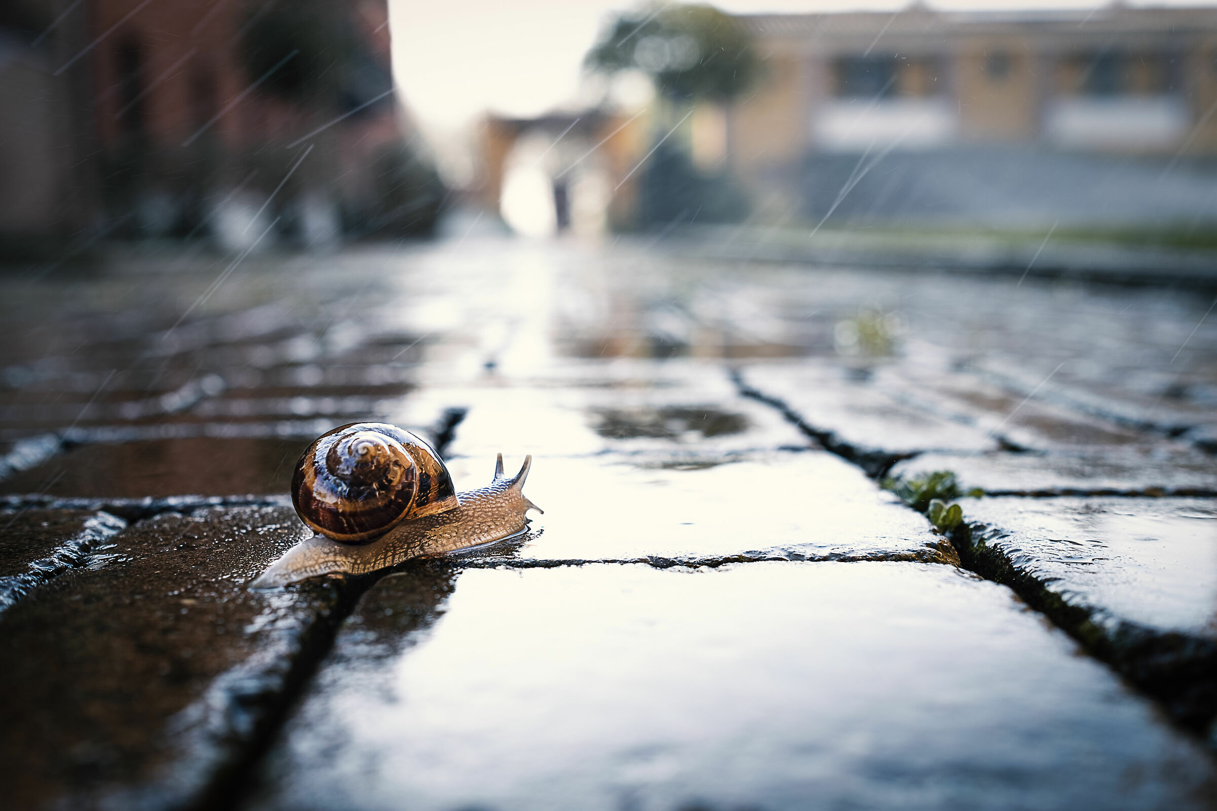 Due passi sotto la pioggia