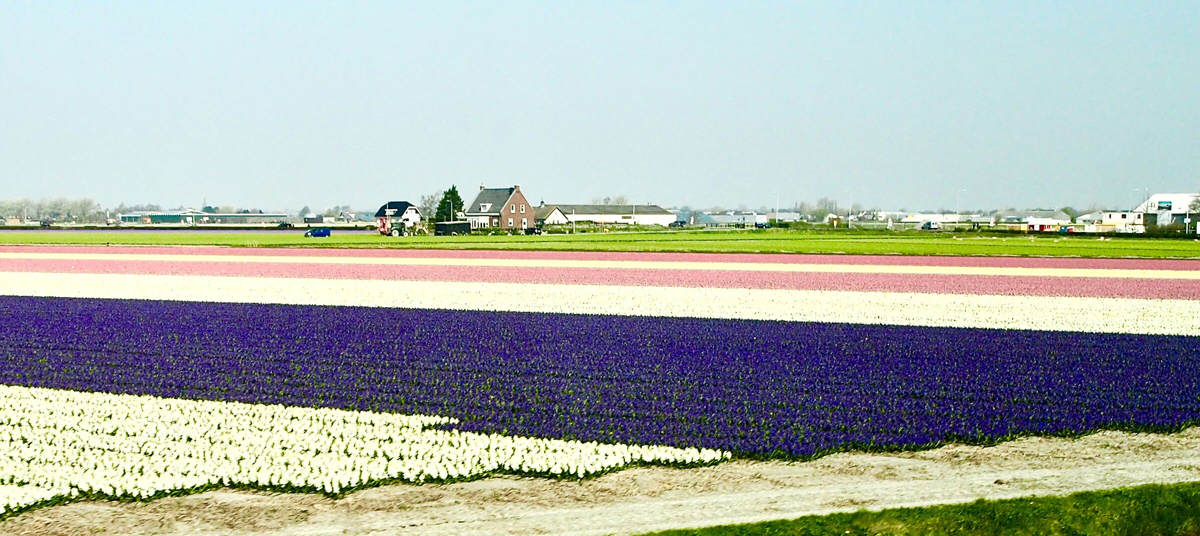 Keukenhof "Parco floreale"