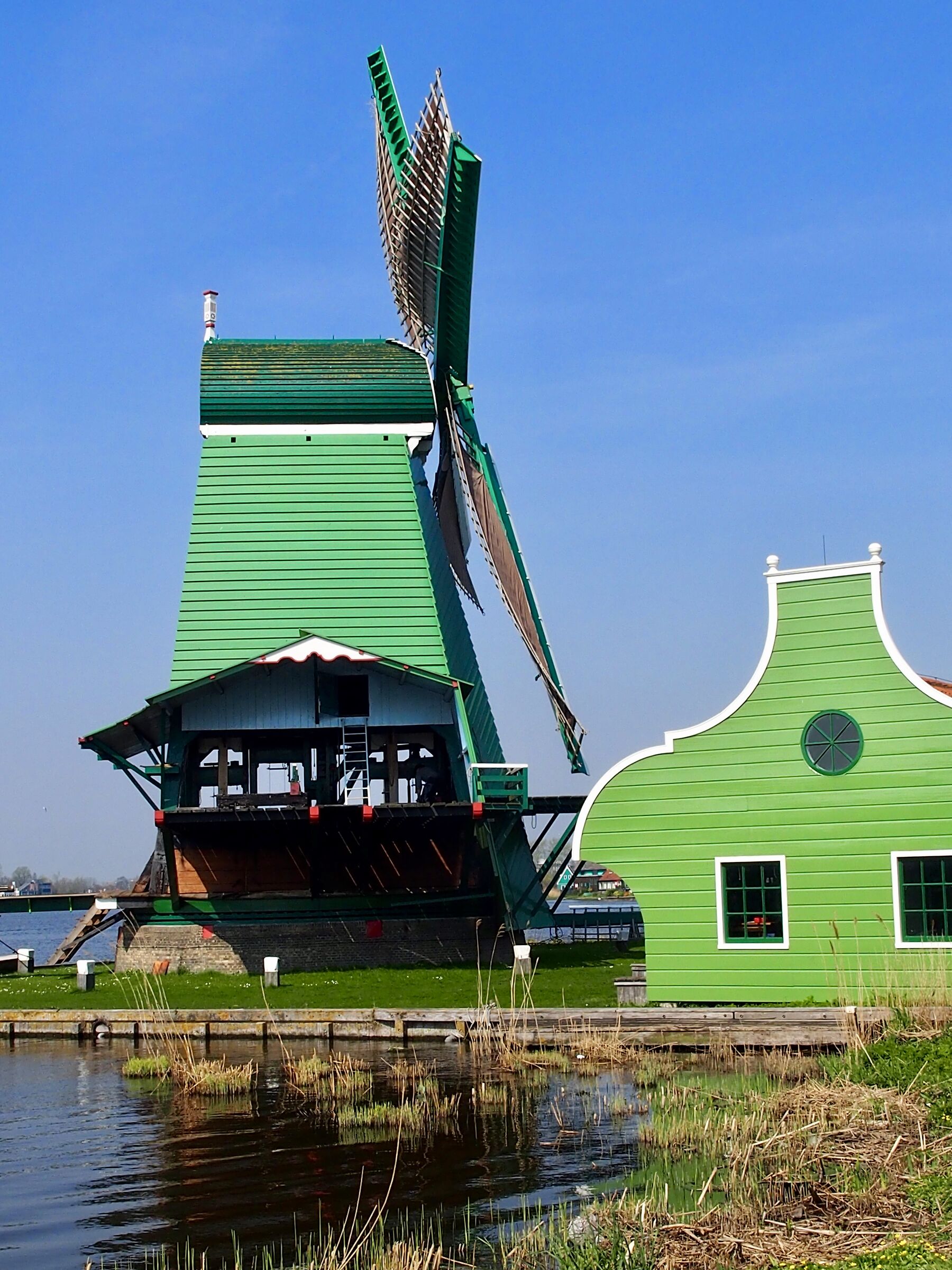 Zaanse Schans "villaggio dei mulini"