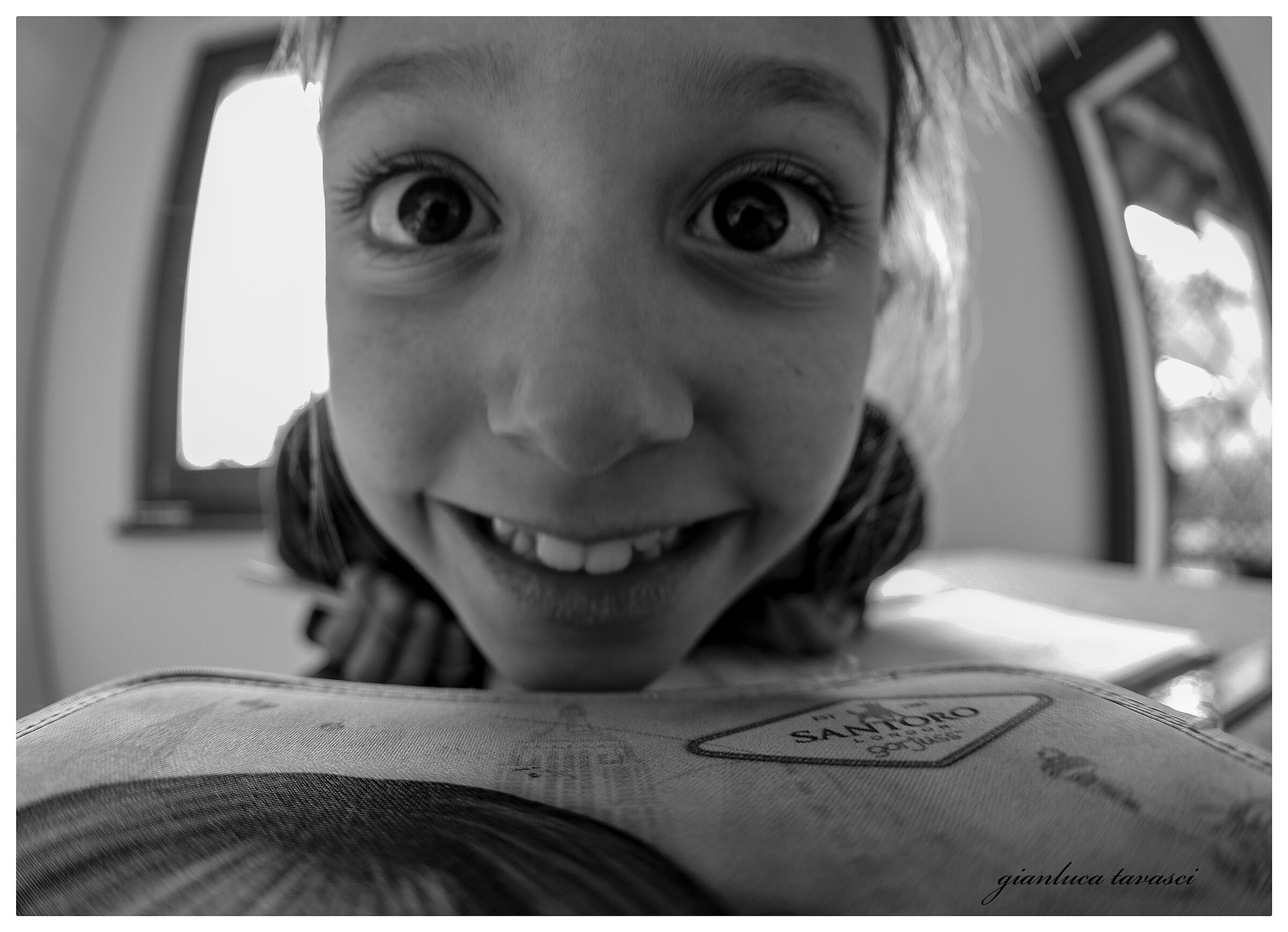 Curioso animaletto domestico