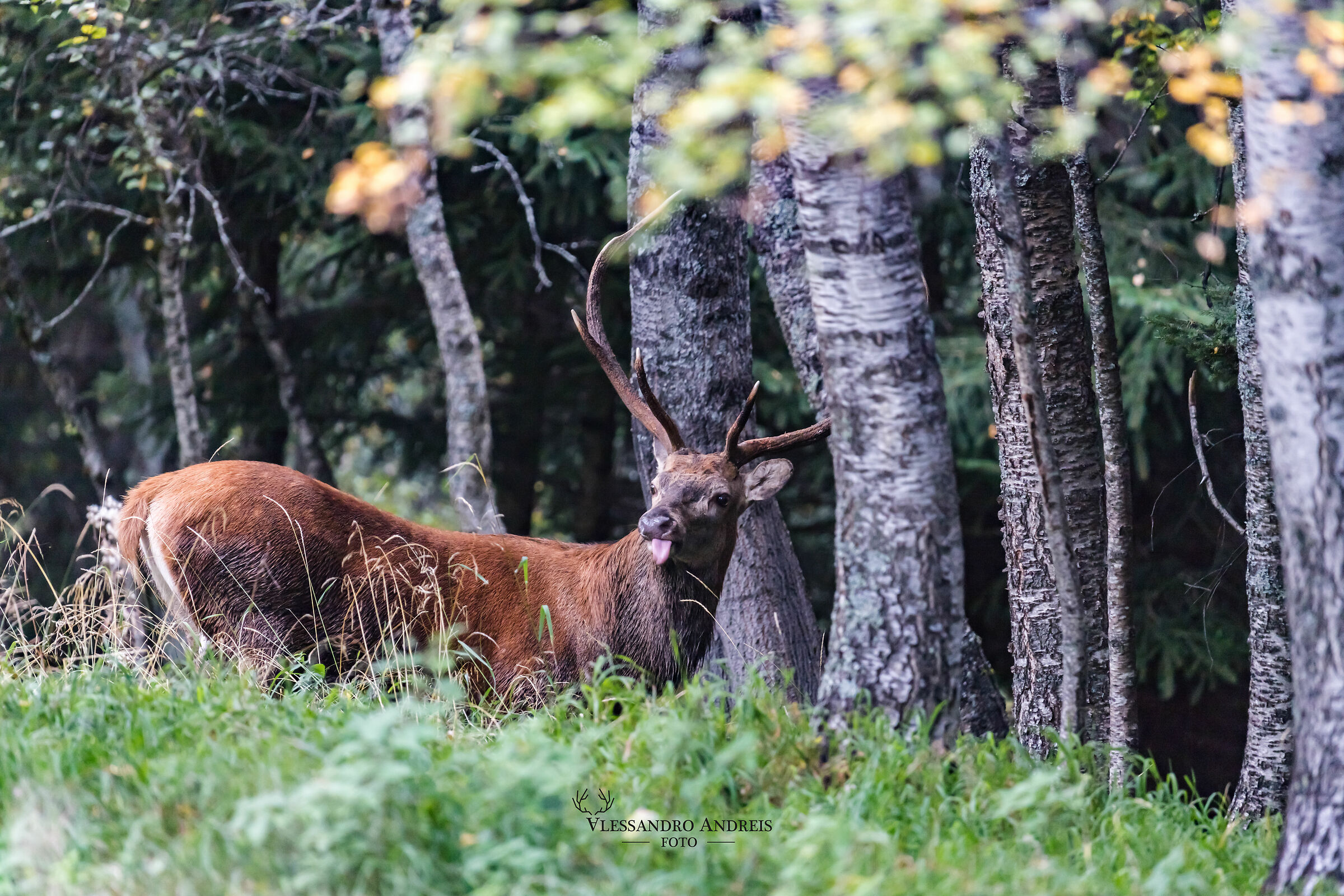 Alle prese con lo smile...