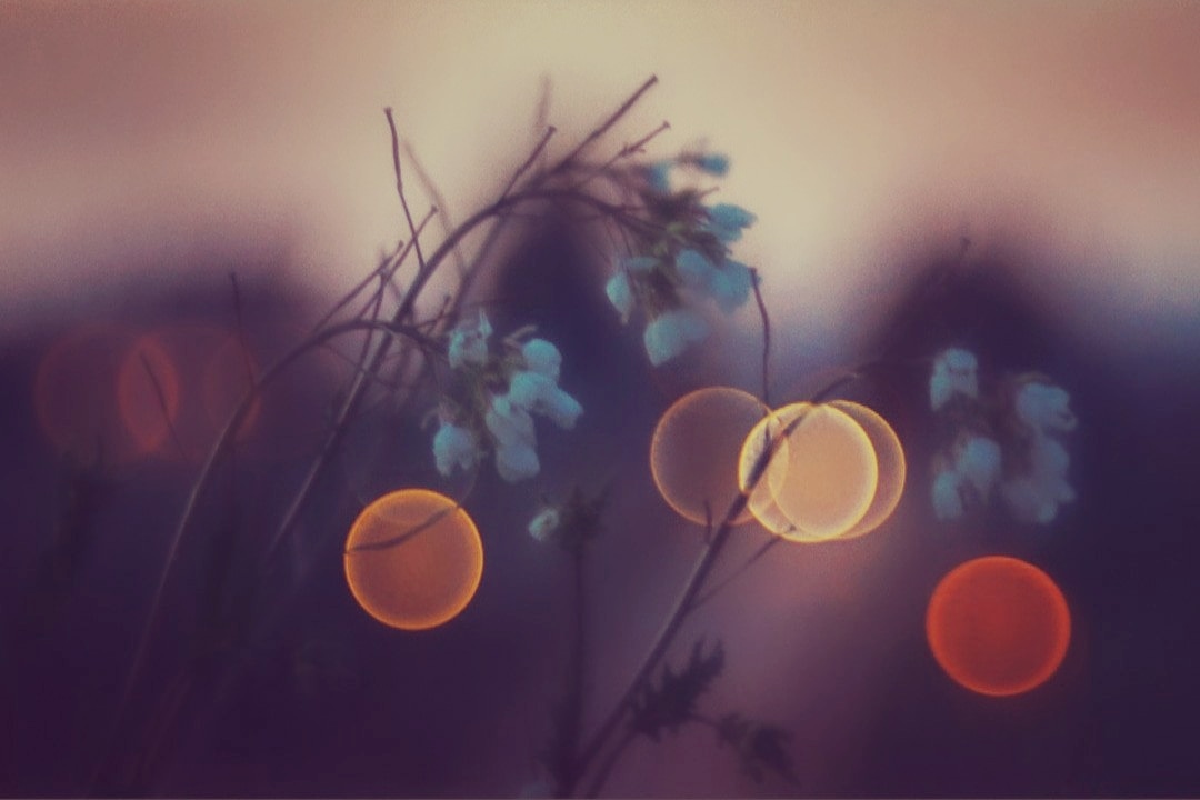 Tramonto bokeh