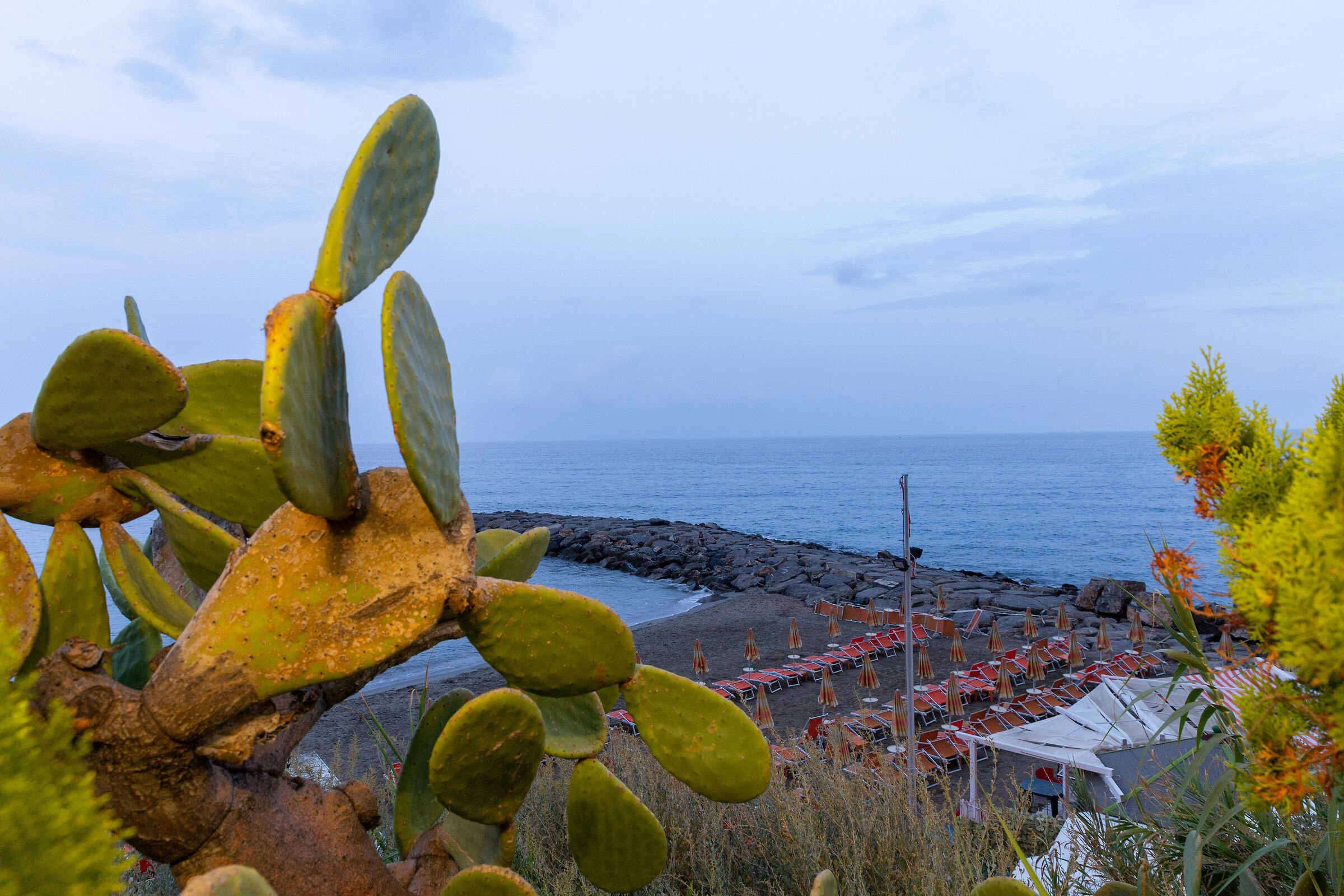 At the end of the summer