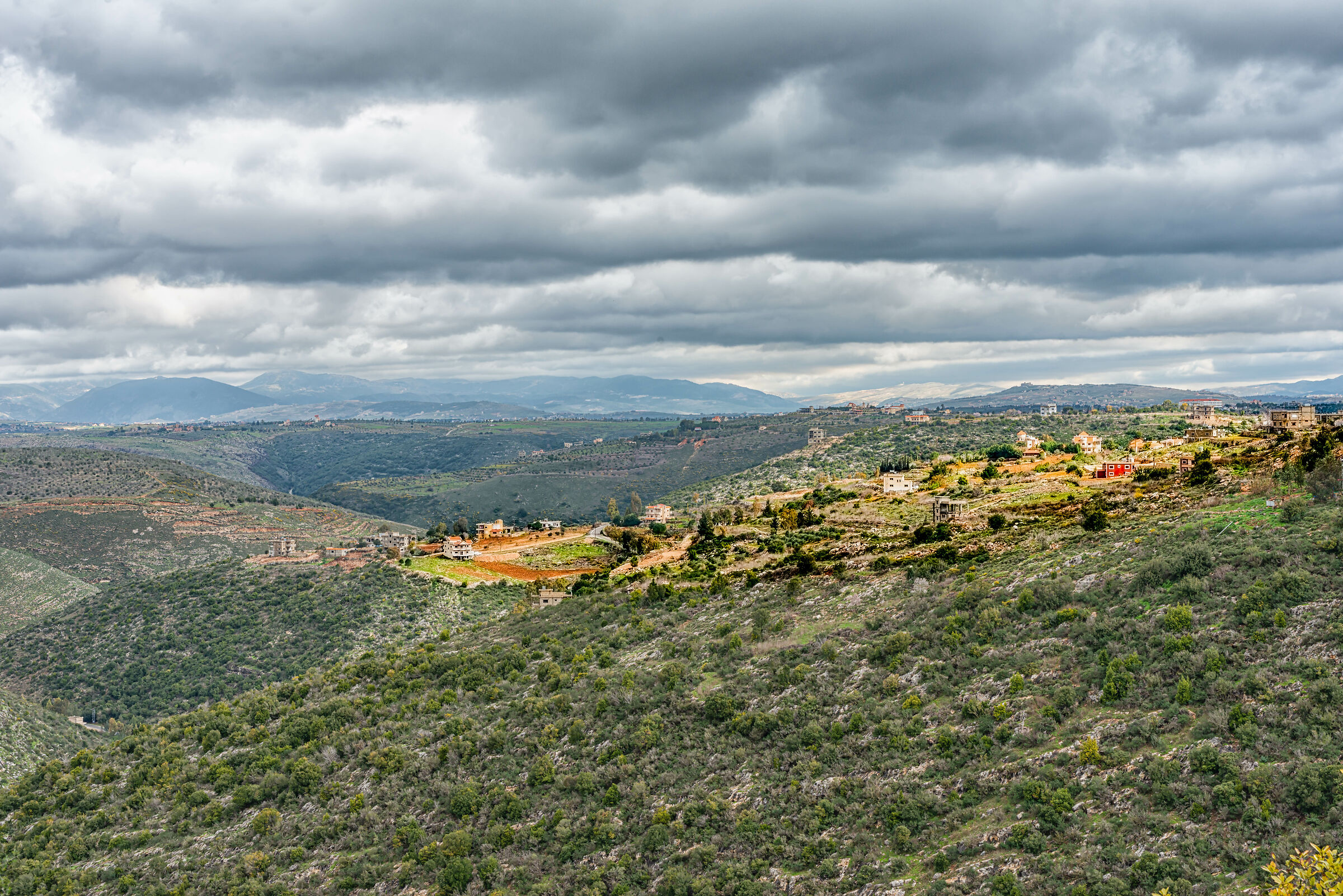 A Day At AlHujair Reserve