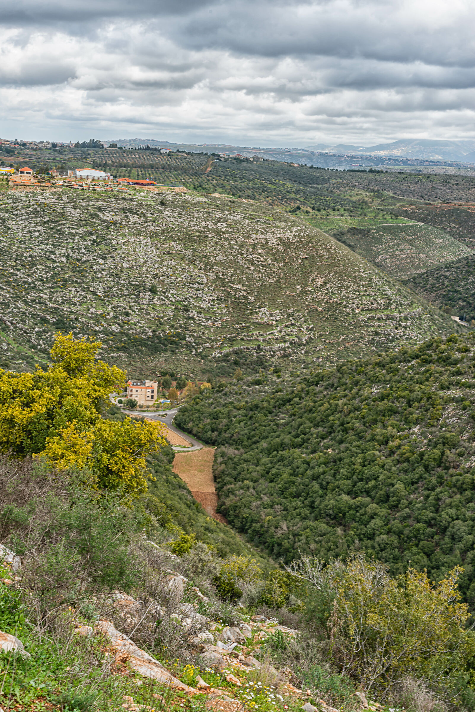 Una giornata a AlHujair Reserve