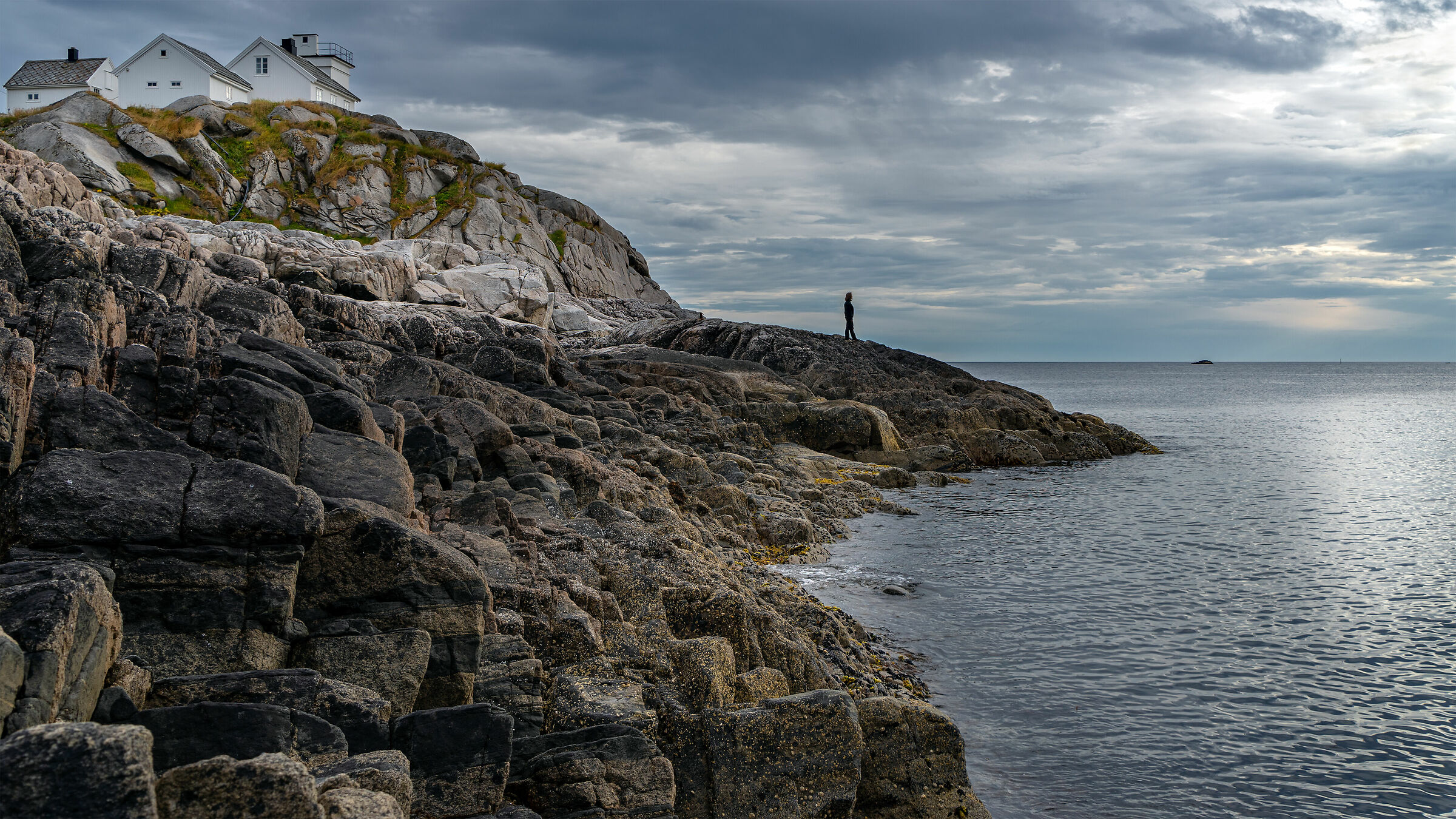 Shapes in contemplation