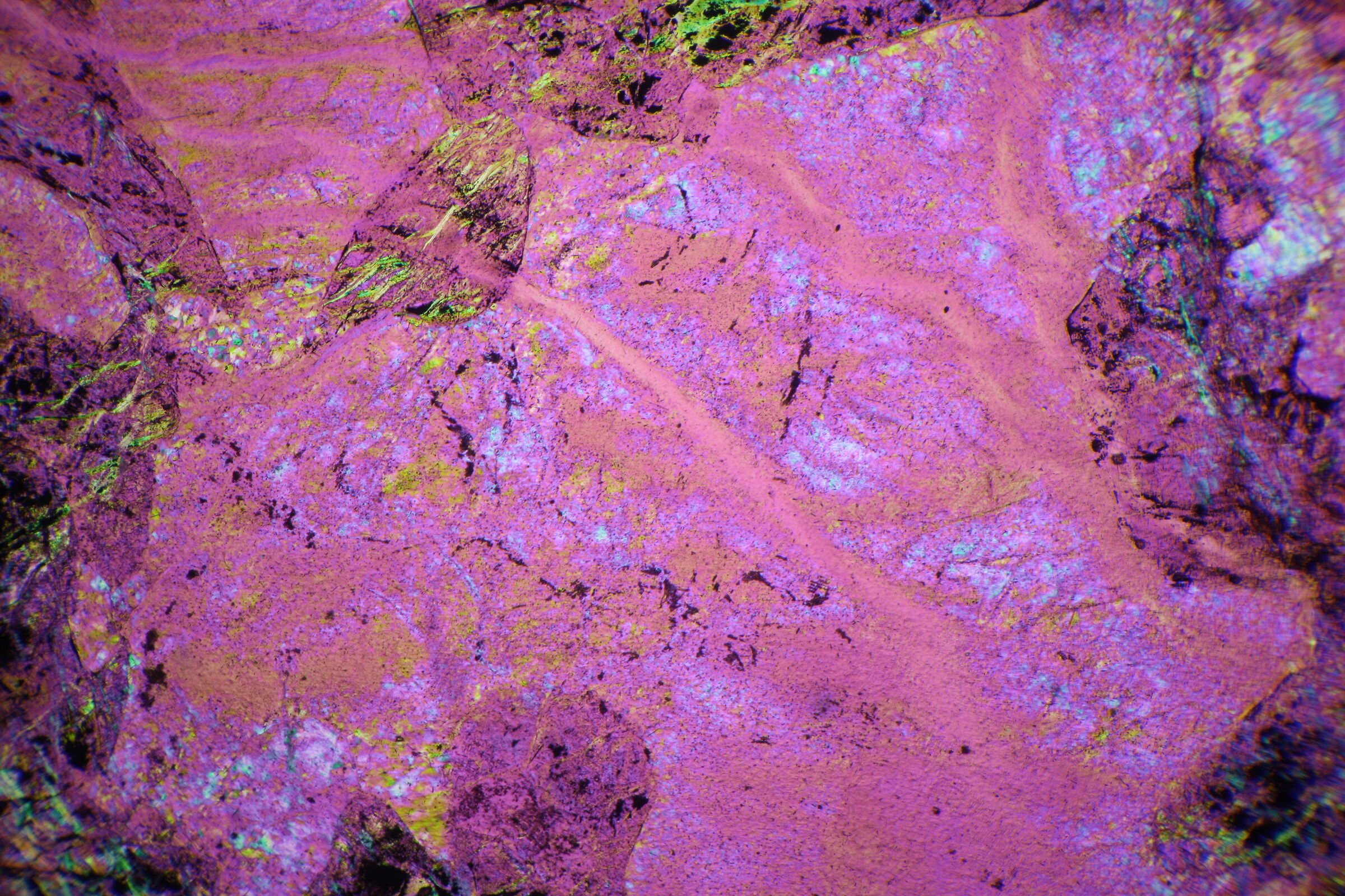 Serpentite. Zeiss RA POL + Canon 500d