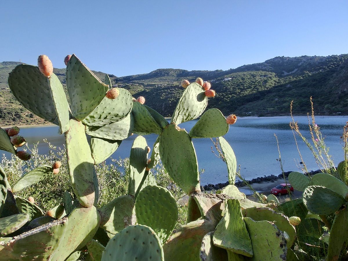 pantelleria