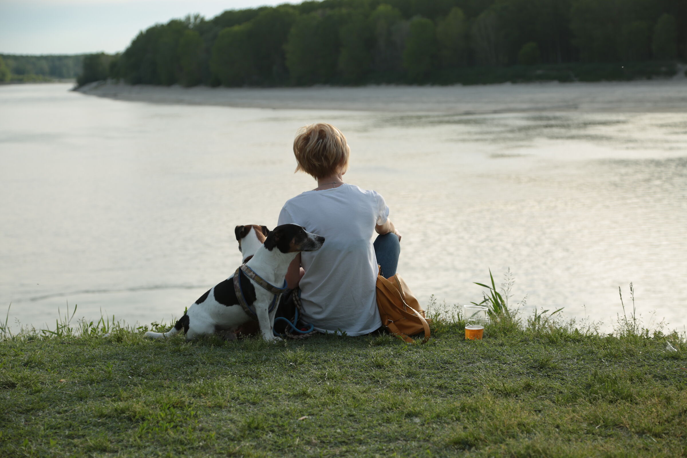 guastalla e il suo po