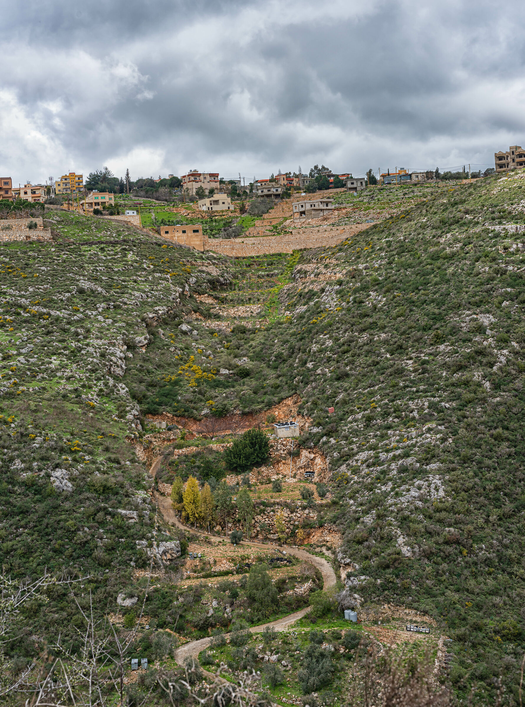 A Day At AlHujair Reserve