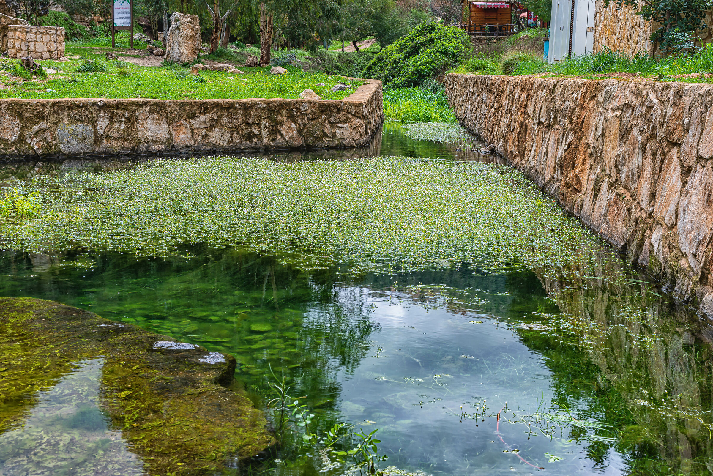 Una giornata a AlHujair Reserve