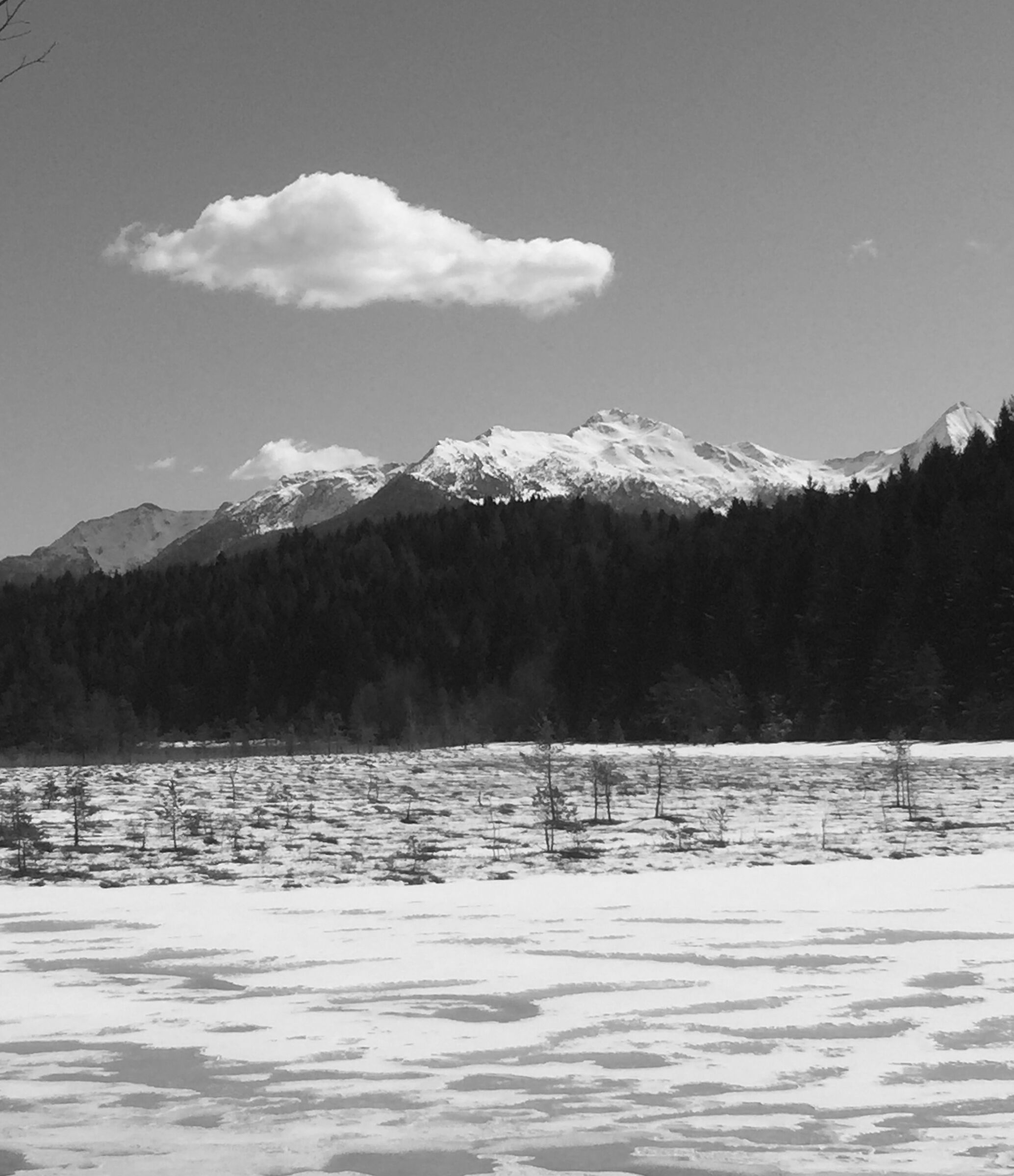 Aprica